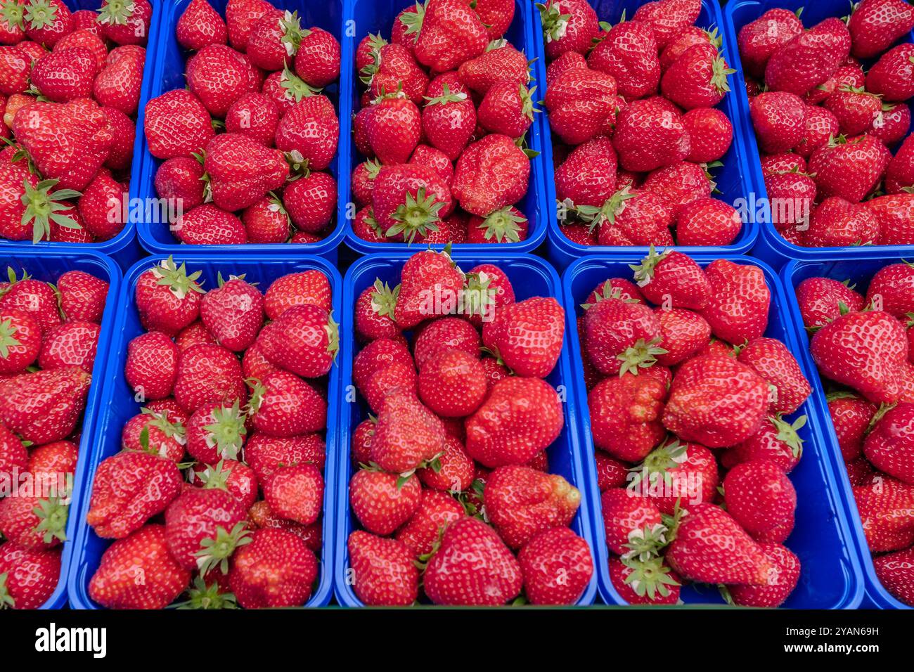 Aus nächster Nähe sehen Sie köstliche Erdbeeren Stockfoto