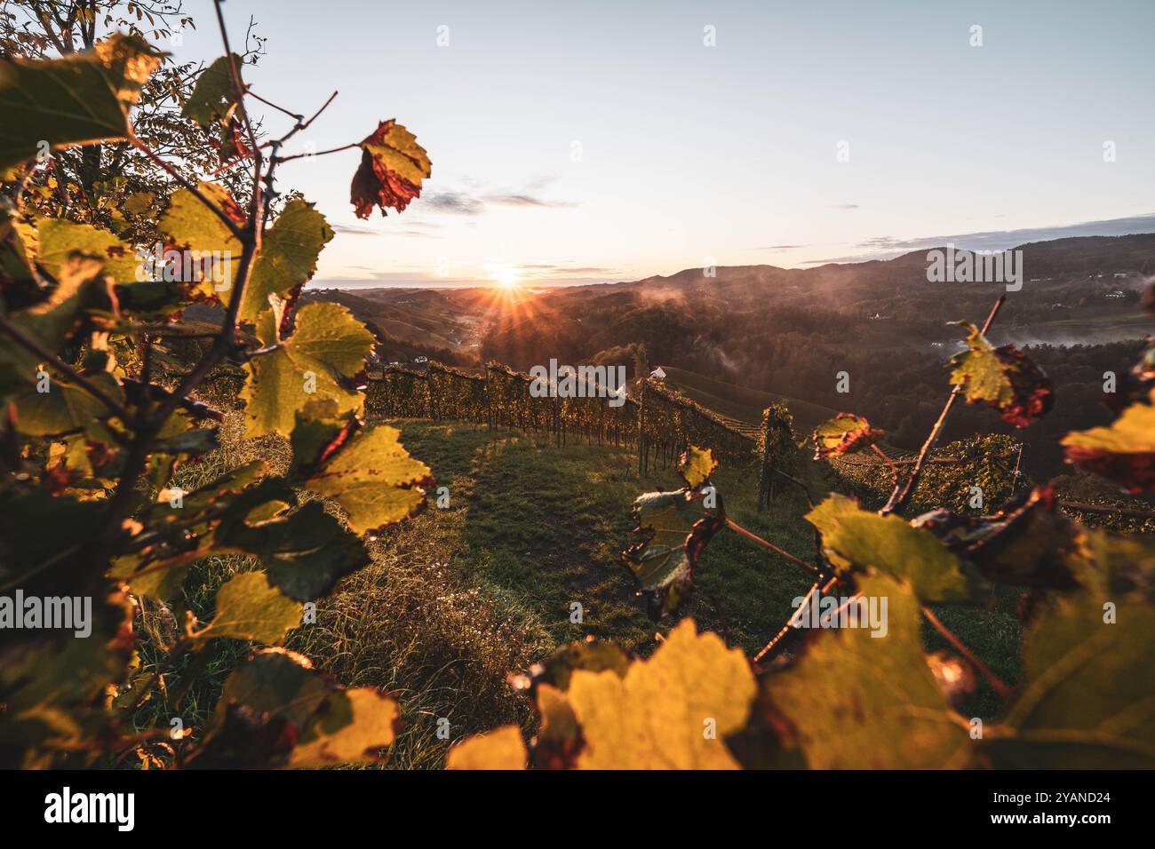 Lais Puzzle 'Sonnenaufgang In Den Weinbergen Steiermark' – 1000 Teile, Brillanter Druck