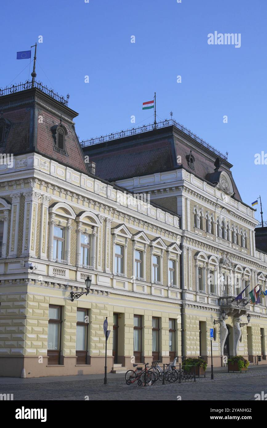 Rathaus, ehemaliger Palast Grassalkowitsch, Szentháromsag ter (Dreifaltigkeitsplatz), Baja, Komitat Bács-Kiskun, Ungarn Stockfoto