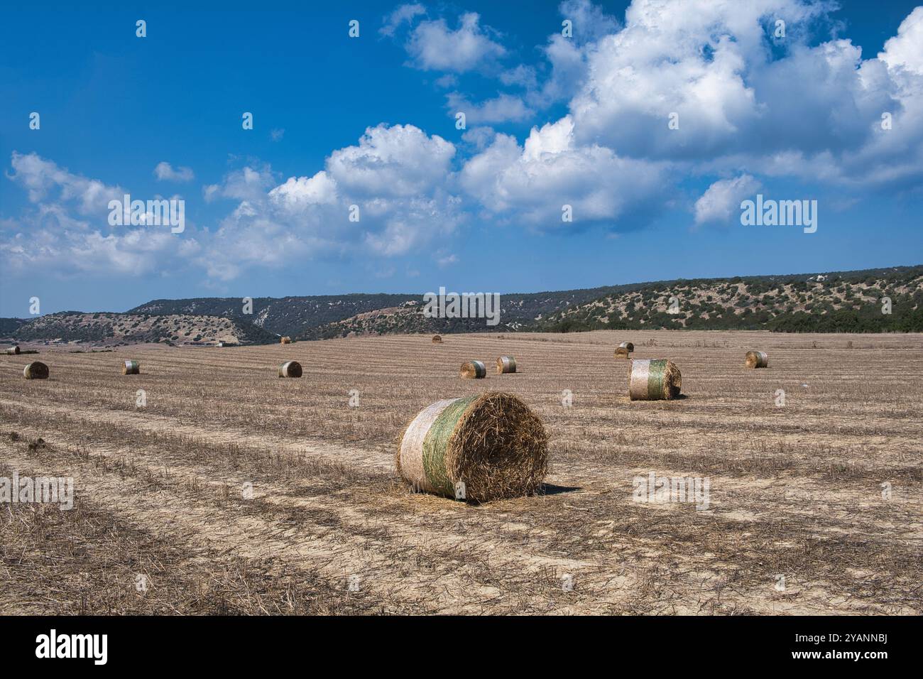 Heuballen auf einem Feld auf der Karpaz-Halbinsel in Nordzypern Stockfoto