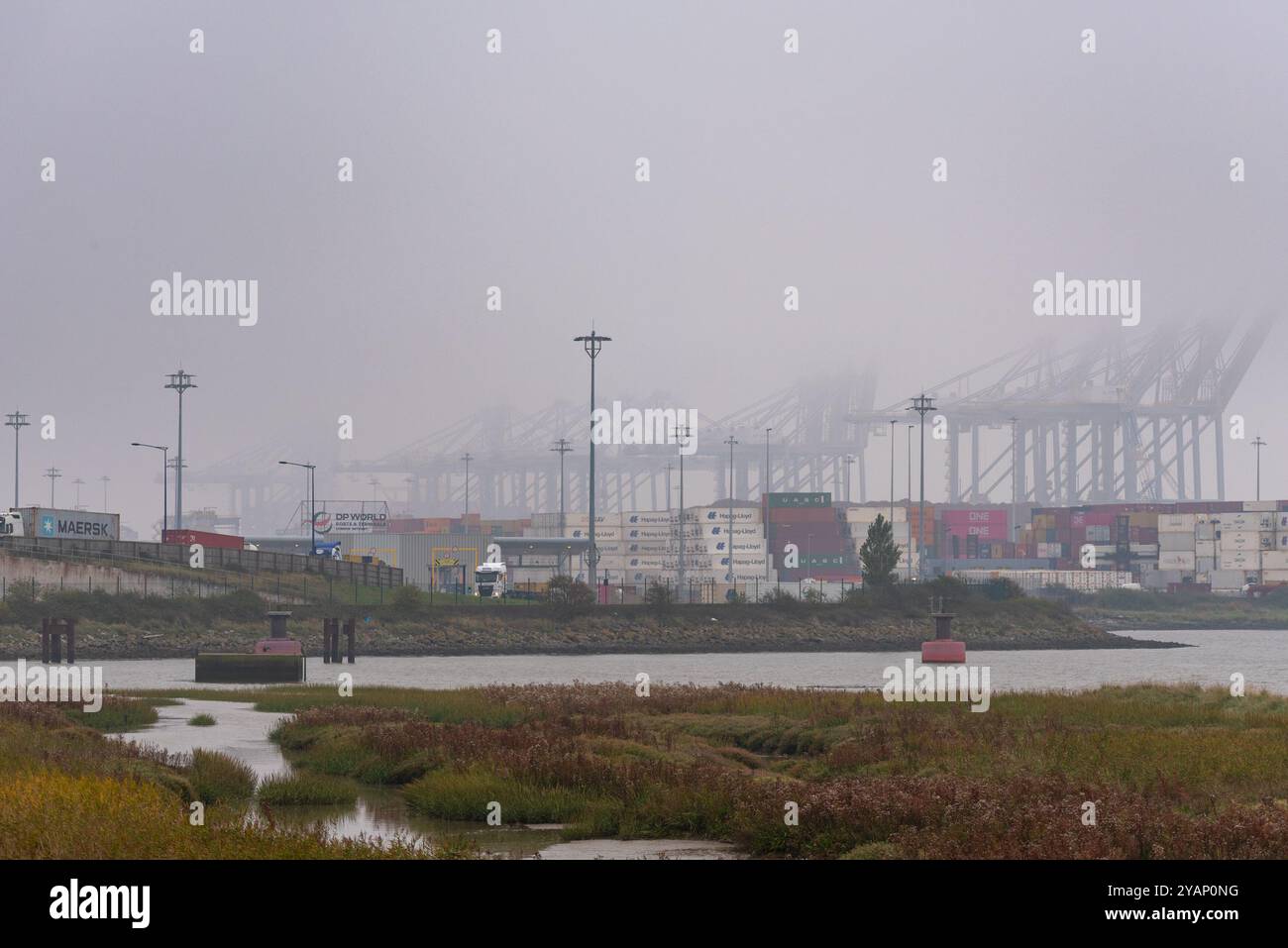 Stanford-Le-Hope, Essex, Großbritannien. Oktober 2024. DP World hat auf dem Investitionsgipfel der Regierung einen Plan zur Erweiterung des Containerhafens London Gateway in Höhe von 1 Milliarde Pfund bekannt gegeben. Der Hafen wurde 2013 eröffnet, um die größten Containerschiffe auf den Handelsrouten der Welt zu erleichtern, und nach Abschluss der Erweiterung würde er zum größten Containerhafen des Vereinigten Königreichs werden. Die Pläne sehen einen zweiten Eisenbahnterminal vor und werden weitere 400 permanente Arbeitsplätze für den Standort schaffen. Kraniche im Nebel Stockfoto