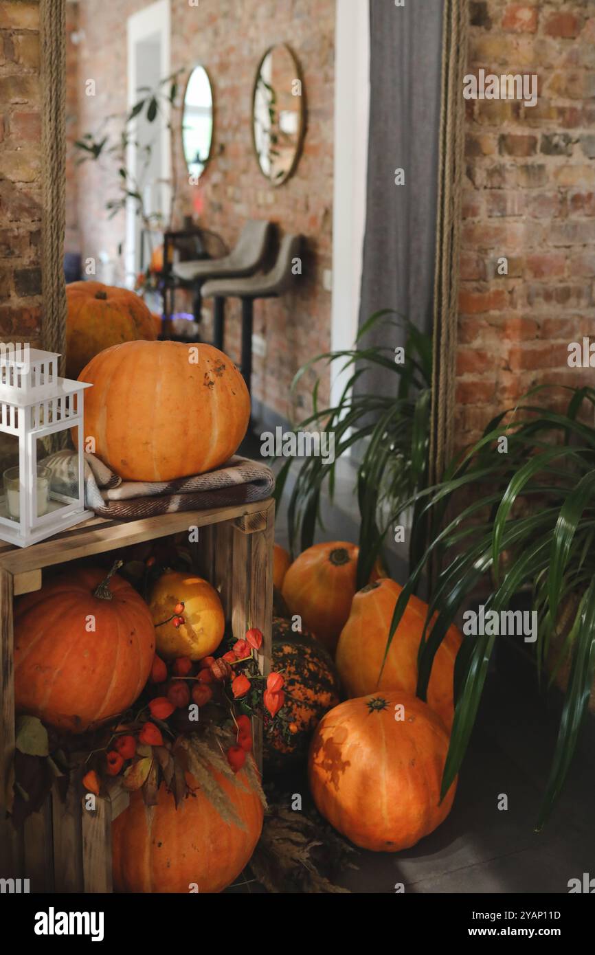 Thanksgiving-Einrichtung mit Herbstkürbissen und Gemüse auf rustikalem Hintergrund. Details zum Stillleben. Herbstdekor, getrocknete Blumen, Kerze, Kürbis Stockfoto