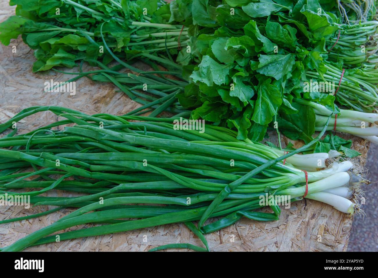 Auf einer rustikalen Holzoberfläche ruhen lebhafte Bündel grüner Zwiebeln und Salatgemüse, die ihre Frische und einladenden Düfte auf einem lebhaften Markt zum Ausdruck bringen. Stockfoto