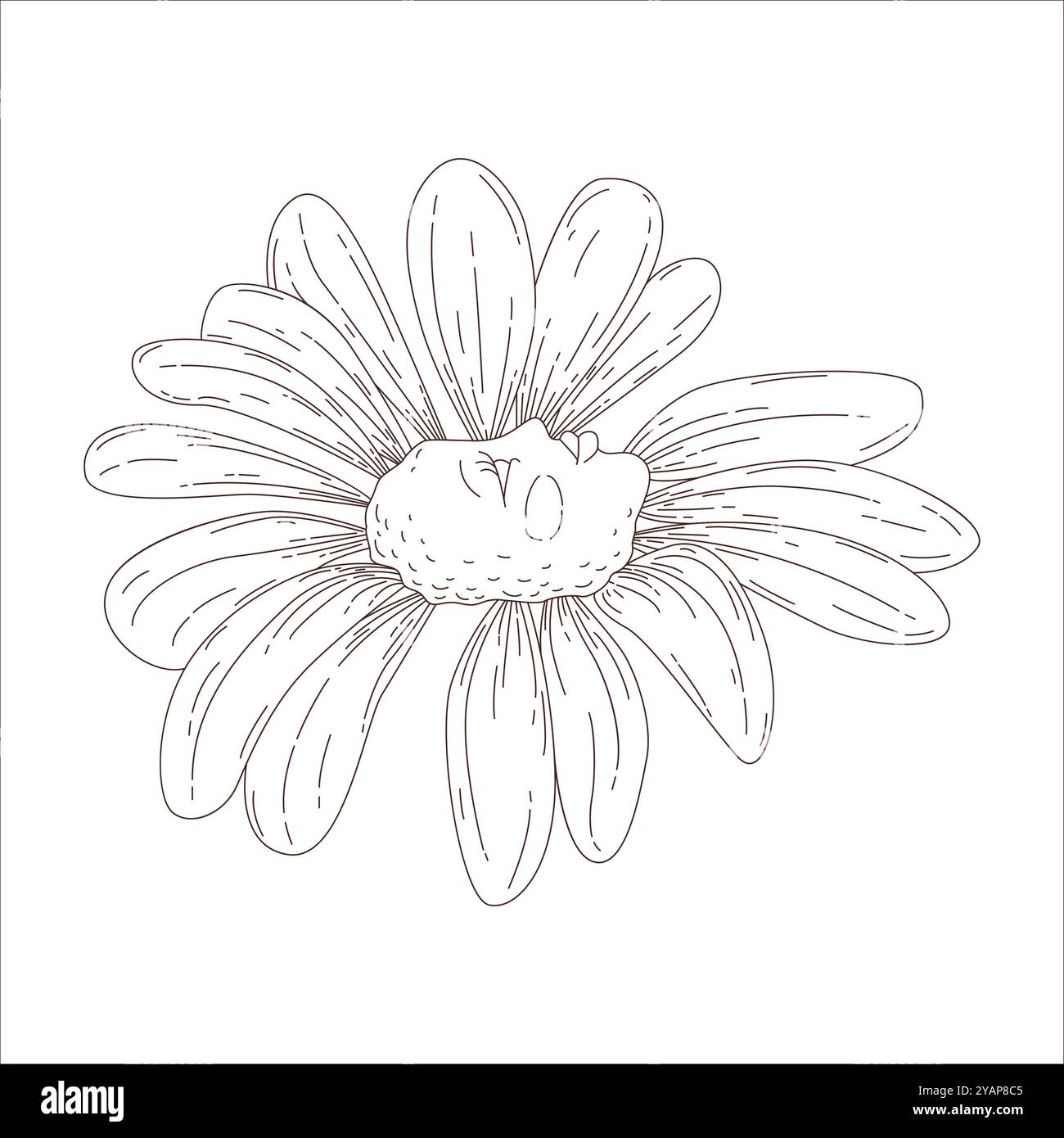 Groovige lustige psychedelische Gänseblümchenblume mit weiblichem Gesicht in Profilvektor-Illustration Stock Vektor