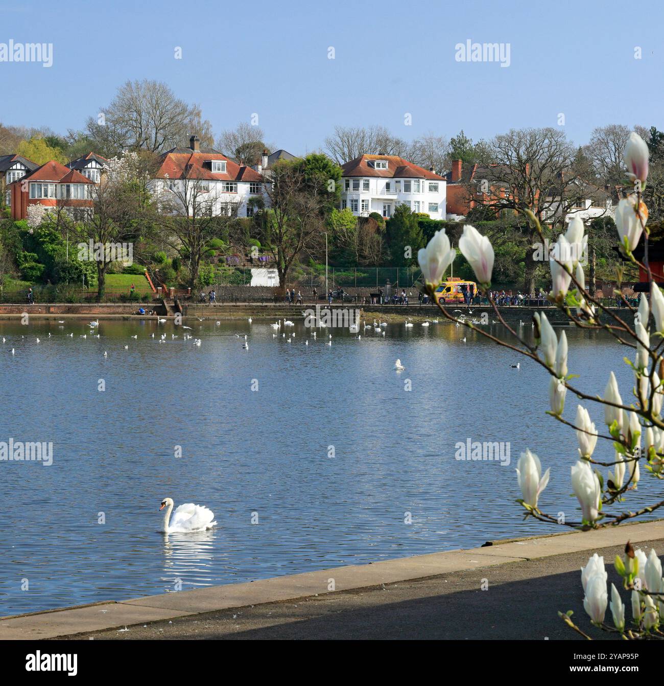 Roath Park See, Cardiff, Südwales, UK. Stockfoto