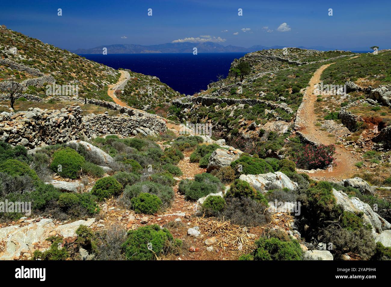 Wanderweg zwischen Livadia und Gera, im Frühling Tilos, Dodekanesische Inseln, südliche Ägäis, Griechenland. Stockfoto