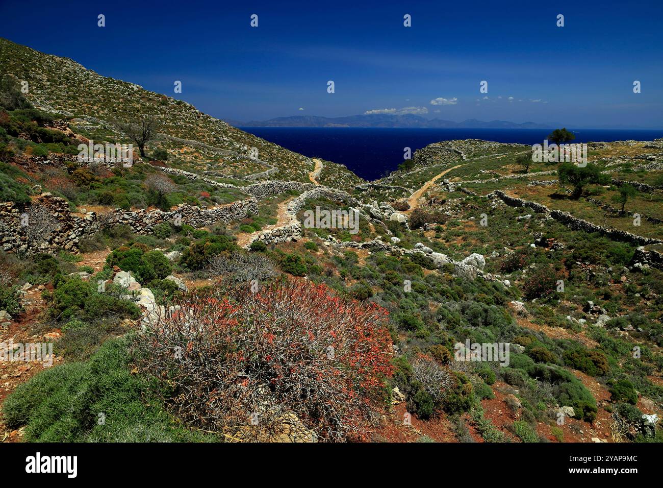 Fußweg nach Pano Meri, Tilos, Dodekanesische Inseln, südliche Ägäis, Griechenland. Stockfoto