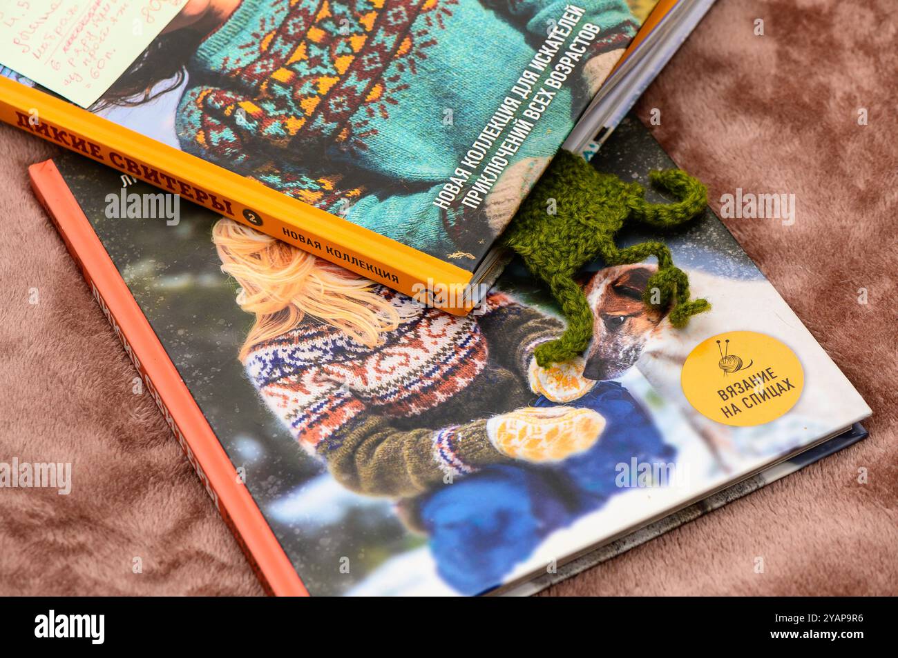 Ein ruhiger Moment fängt eine schöne Auswahl an Strickbüchern auf einer flauschigen Decke ein, während ein verspielter Hund hinausschaut und Wärme und Komfort auf einem C einlädt Stockfoto