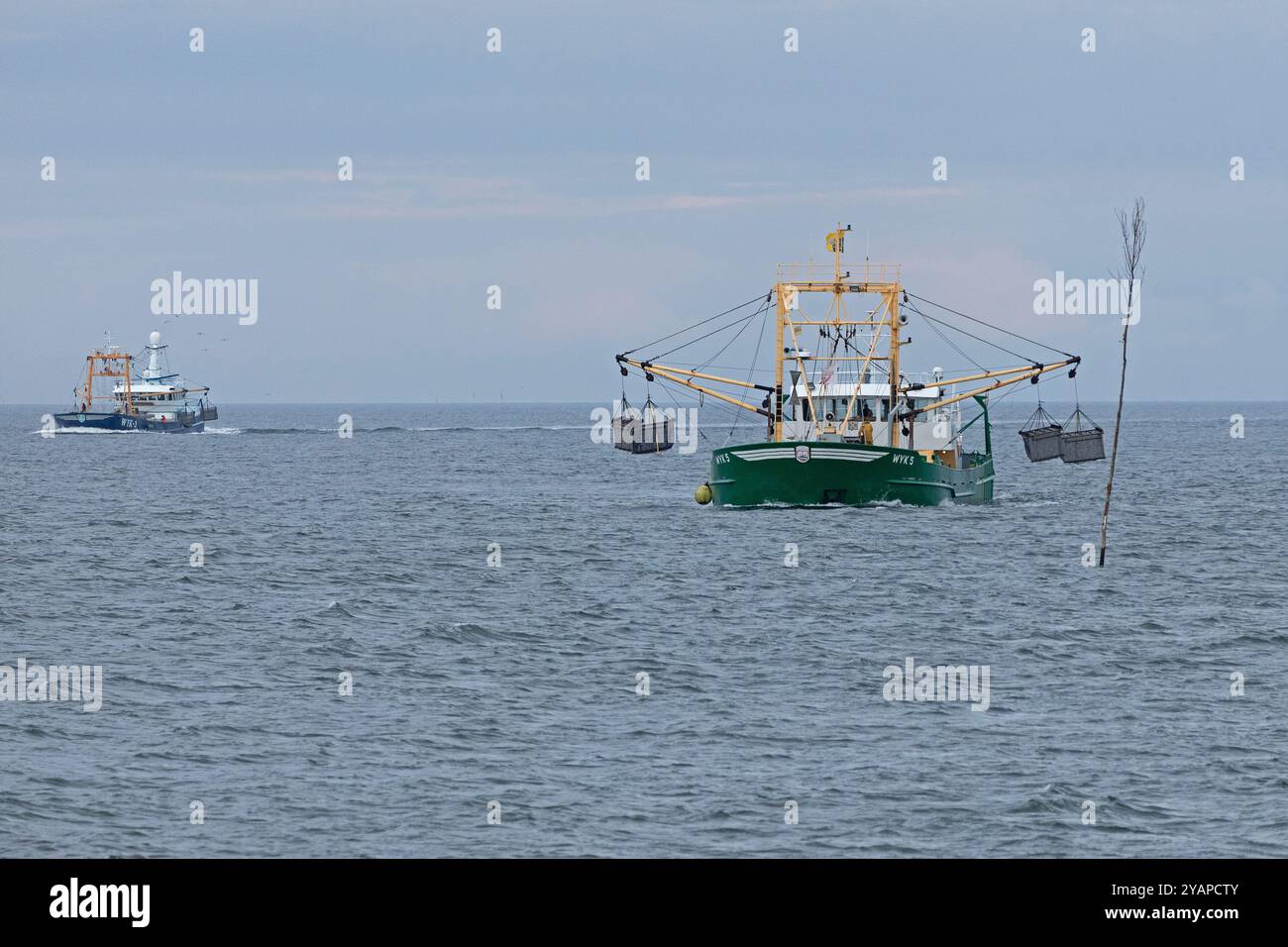 Muschelfischerei vor Föhr, Nordfriesland, Schleswig-Holstein, Deutschland Stockfoto