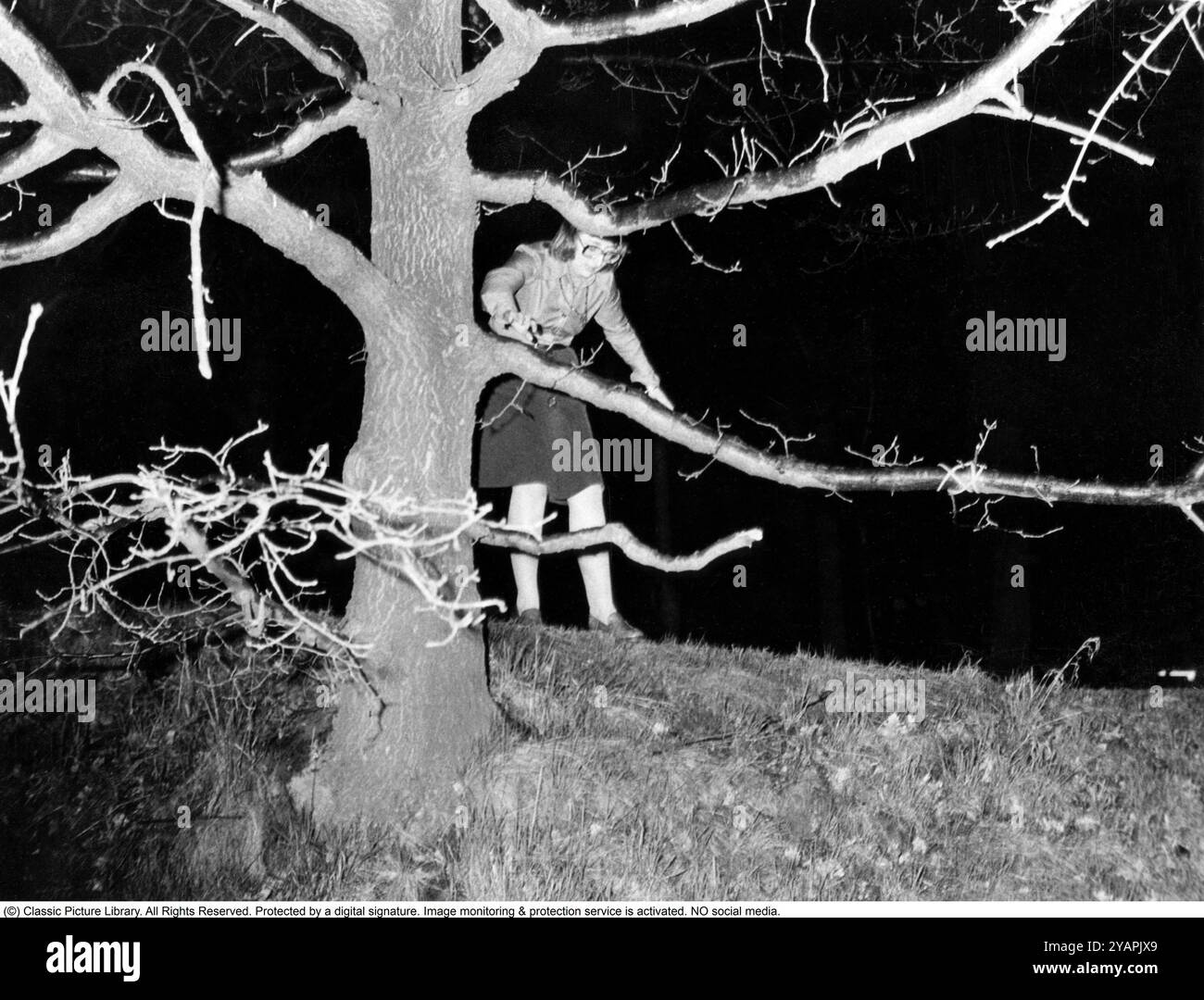 Belagerung der Westdeutschen Botschaft in Stockholm 1975. Am 24. April 1975 besetzte das Kommando Holger Meins von der bewaffneten linksextremistischen Organisation Rote Armee Fraktion RAF die westdeutsche Botschaft auf Skarpögatan in Gärdet, Stockholm. Die RAF-Gruppe führte den Angriff mit dem Ziel durch, die Freilassung von RAF-Mitgliedern und anderen aus dem Gefängnis in der Bundesrepublik Deutschland zu erzwingen. Die Besatzer nahmen eine Reihe von Personen als Geiseln, darunter den Botschafter Dietrich Stoecker. Die schwedische Polizei bereitete sich vor, das Gebäude zu stürmen, aber bevor sie die Gelegenheit dazu hatten, wurde die Botschaft von einer Reihe heftiger Explosionen erschüttert, der TNT Stockfoto