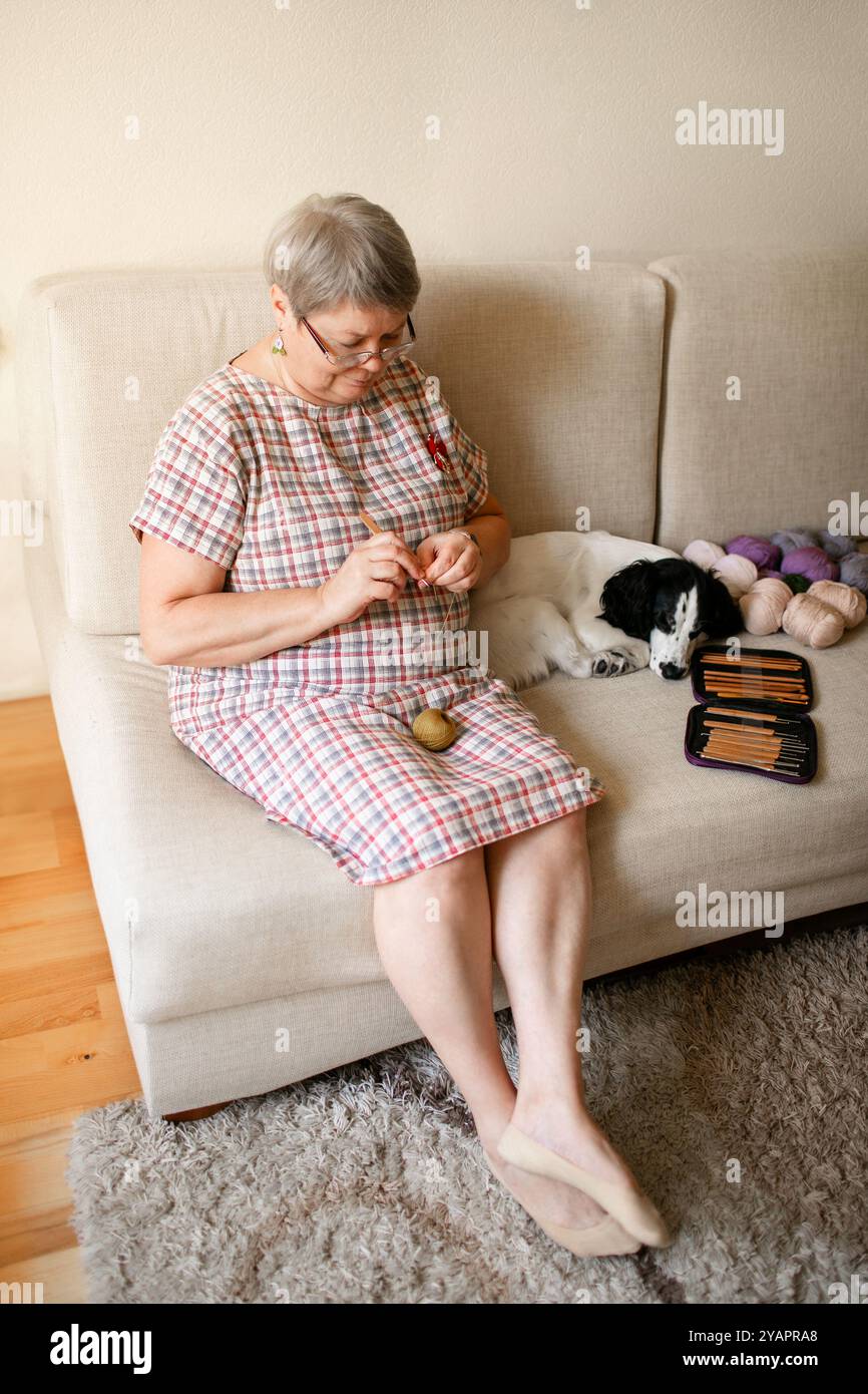 Ältere Dame mit Brille häkeln zu Hause, während ihr weißer Hund neben ihr sitzt. Stockfoto