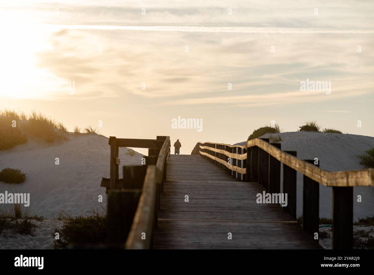 Ein Mann beobachtet den Sonnenuntergang von der Rückseite einer hölzernen Promenade, während das goldene Licht der untergehenden Sonne eine ruhige und friedliche Atmosphäre schafft Stockfoto