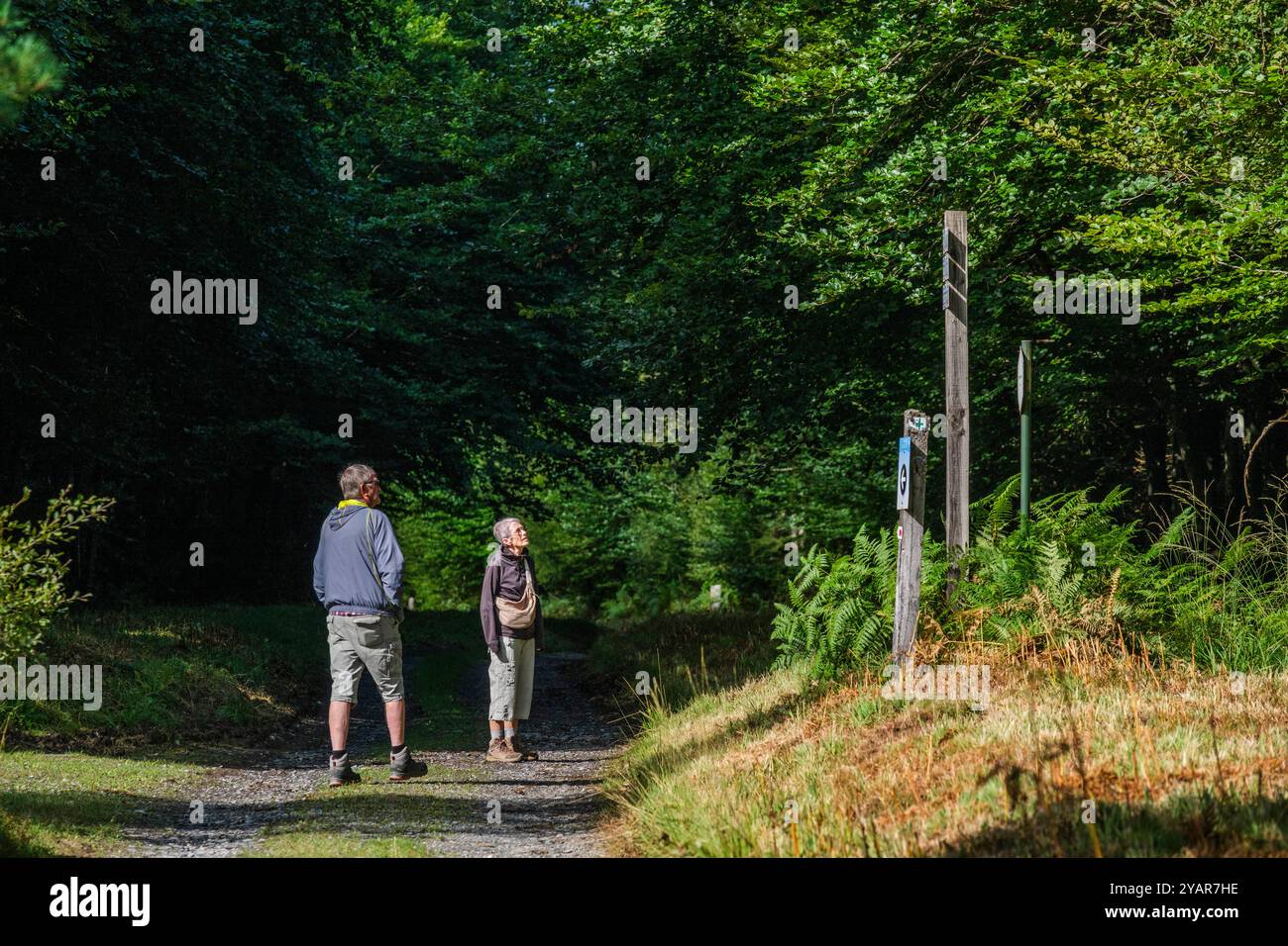 La Tour du Millénaire EST une oeuvre bewundernswert. Comme si vous étiez au sommet du Mat d'un navire, la vue s'étend au delà de 30 kilomètres, sur un océa Stockfoto