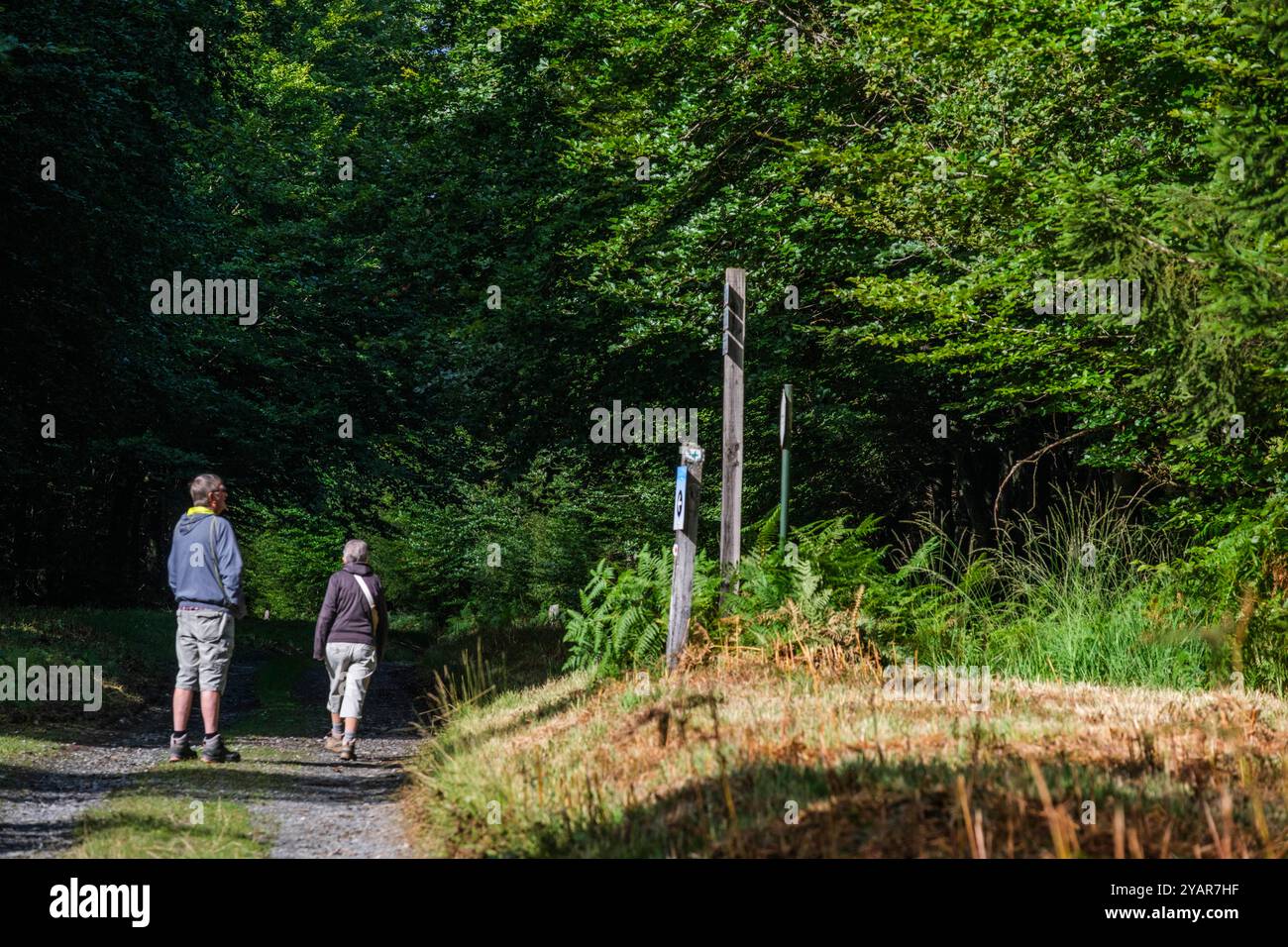 La Tour du Millénaire EST une oeuvre bewundernswert. Comme si vous étiez au sommet du Mat d'un navire, la vue s'étend au delà de 30 kilomètres, sur un océa Stockfoto