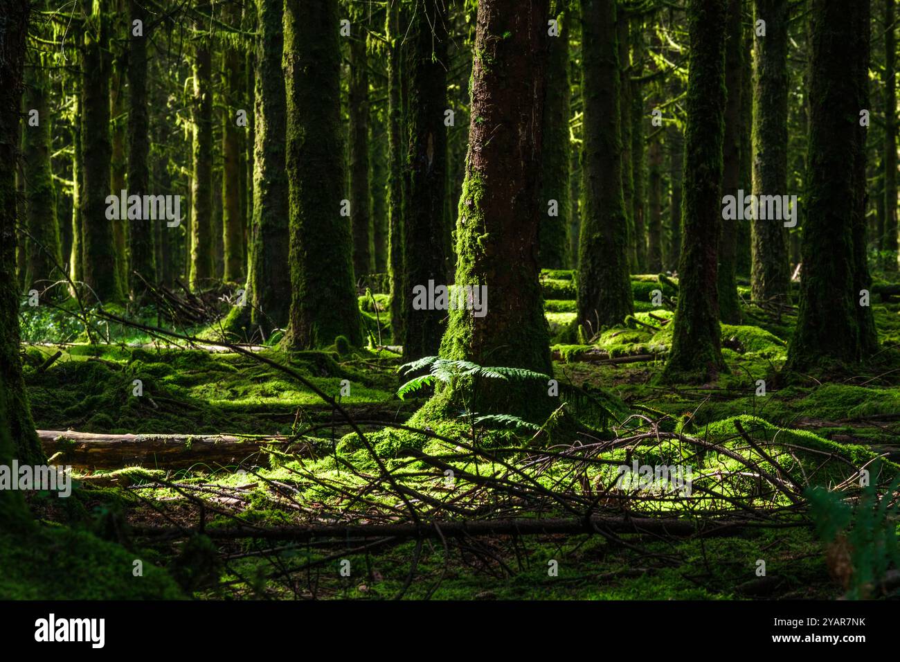 La Tour du Millénaire EST une oeuvre bewundernswert. Comme si vous étiez au sommet du Mat d'un navire, la vue s'étend au delà de 30 kilomètres, sur un océa Stockfoto