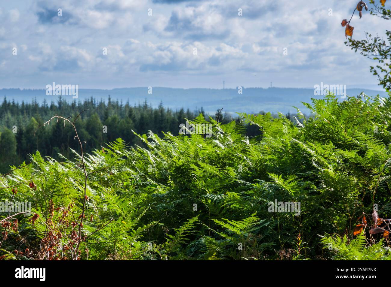 La Tour du Millénaire EST une oeuvre bewundernswert. Comme si vous étiez au sommet du Mat d'un navire, la vue s'étend au delà de 30 kilomètres, sur un océa Stockfoto