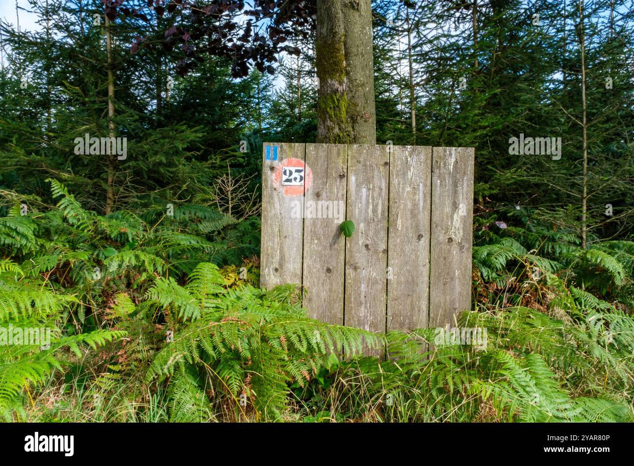 La Tour du Millénaire EST une oeuvre bewundernswert. Comme si vous étiez au sommet du Mat d'un navire, la vue s'étend au delà de 30 kilomètres, sur un océa Stockfoto