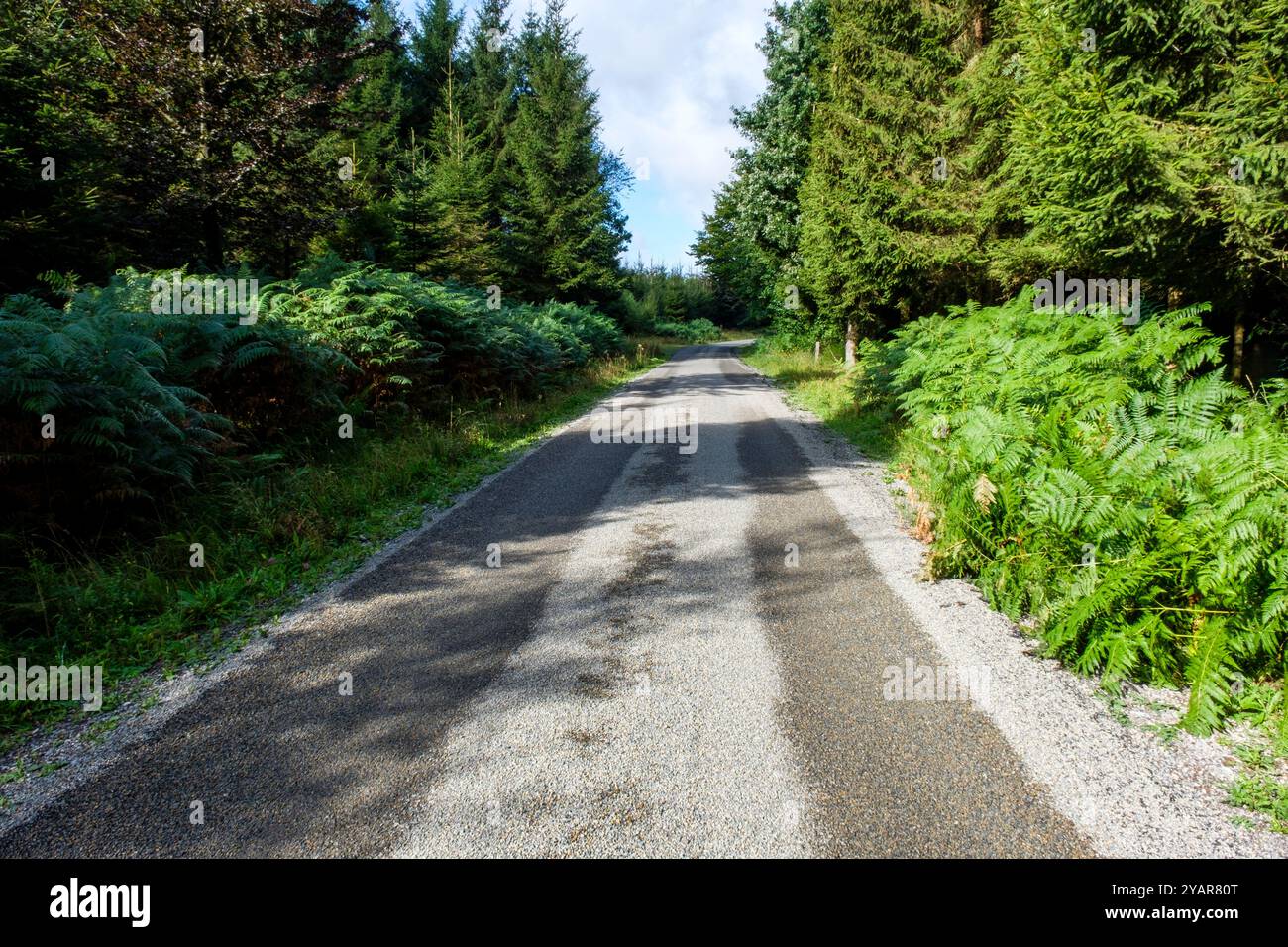 La Tour du Millénaire EST une oeuvre bewundernswert. Comme si vous étiez au sommet du Mat d'un navire, la vue s'étend au delà de 30 kilomètres, sur un océa Stockfoto