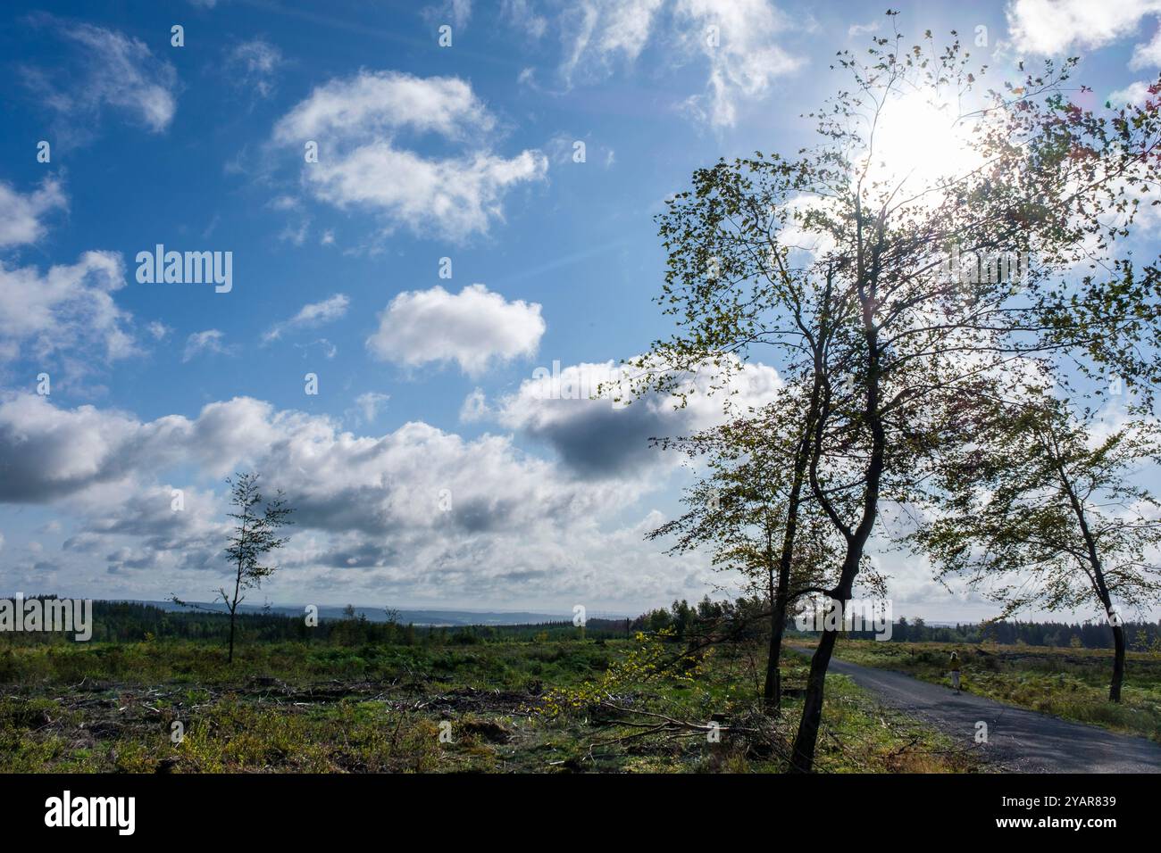 La Tour du Millénaire EST une oeuvre bewundernswert. Comme si vous étiez au sommet du Mat d'un navire, la vue s'étend au delà de 30 kilomètres, sur un océa Stockfoto