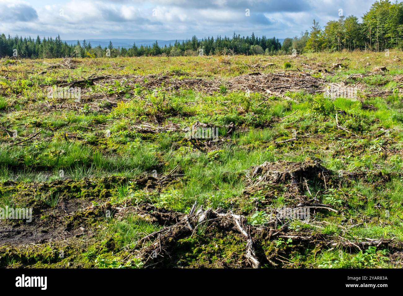 La Tour du Millénaire EST une oeuvre bewundernswert. Comme si vous étiez au sommet du Mat d'un navire, la vue s'étend au delà de 30 kilomètres, sur un océa Stockfoto
