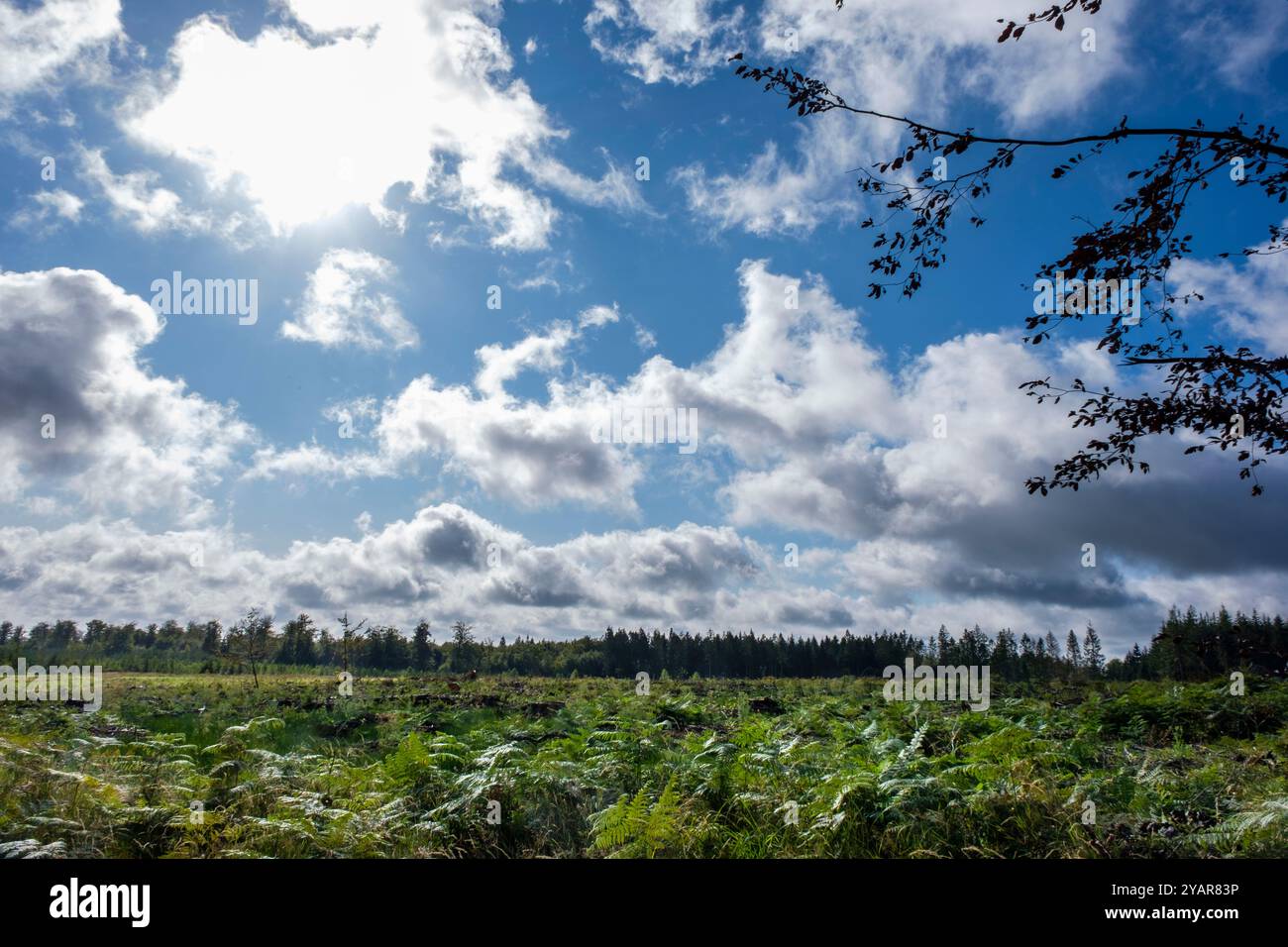 La Tour du Millénaire EST une oeuvre bewundernswert. Comme si vous étiez au sommet du Mat d'un navire, la vue s'étend au delà de 30 kilomètres, sur un océa Stockfoto
