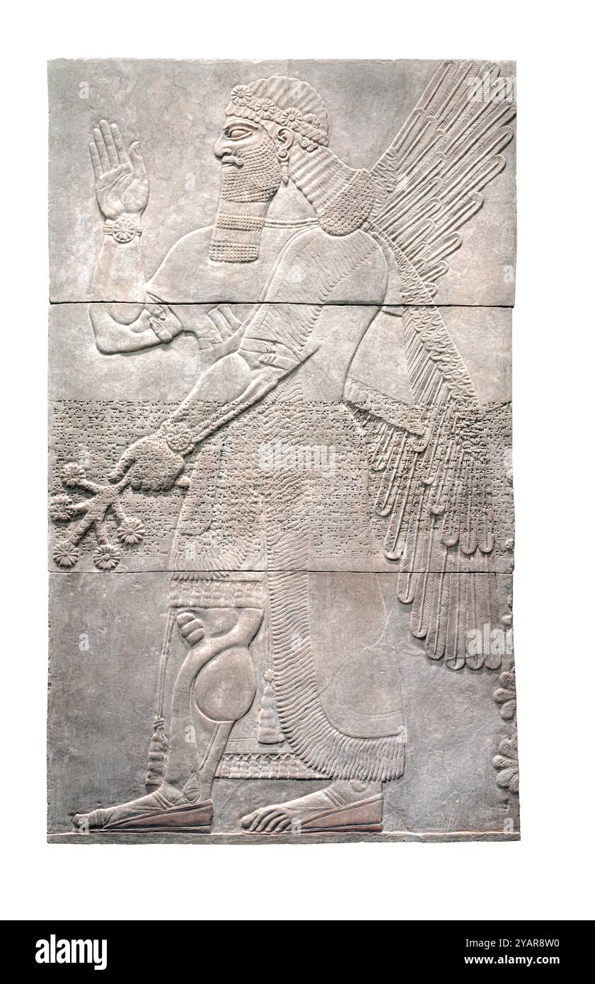 Saluting Protective Spirit 883–859 v. Chr. - Neo-Assyrian (911–609 v. Chr.), Irak, Nimrud, Nordwestpalast, Herrschaft von Ashurnasirpal II. (883–859 v. Chr.) Gips - diese geflügelte Gottheit bietet mit muskulösen Armen und Beinen eine Geste des Grußes zusammen mit Symbolen der landwirtschaftlichen Kopfgelder. Das Relief war mit einer Darstellung der militärischen Eroberungen und Siege des assyrischen Königs Aschurnasirpal II. Versehen und stand einst neben Hunderten ähnlicher, die den Palast in Nimrud schmückten. Stockfoto