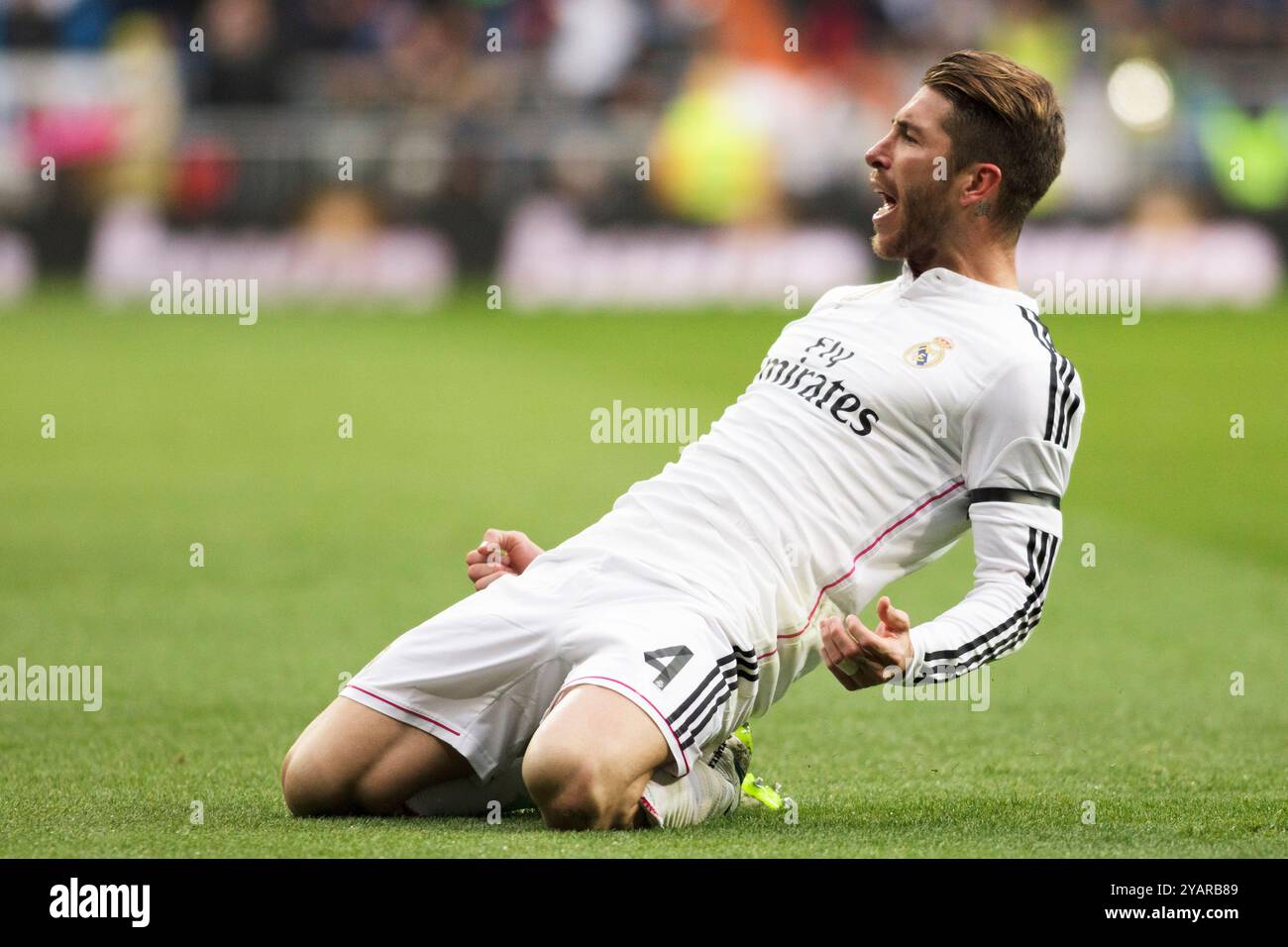 SPANIEN, Madrid: Der spanische Verteidiger Sergio Ramos von Real Madrid feiert während des Spiels der spanischen Liga 2014/15 zwischen Real Madrid und Real Soci ein Tor Stockfoto