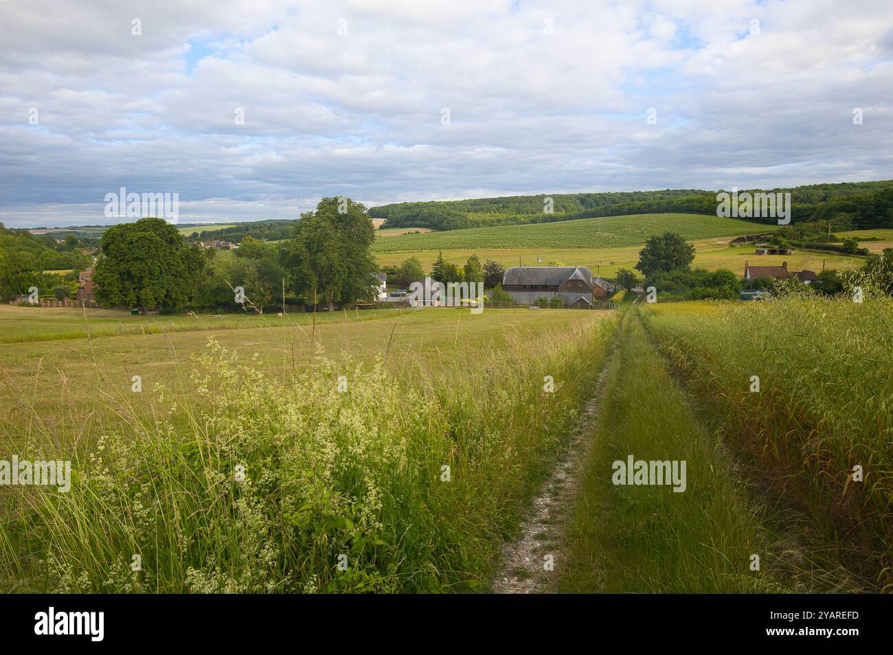 Ländliche Landschaft in Cuxton bei Rochester in England. Stockfoto