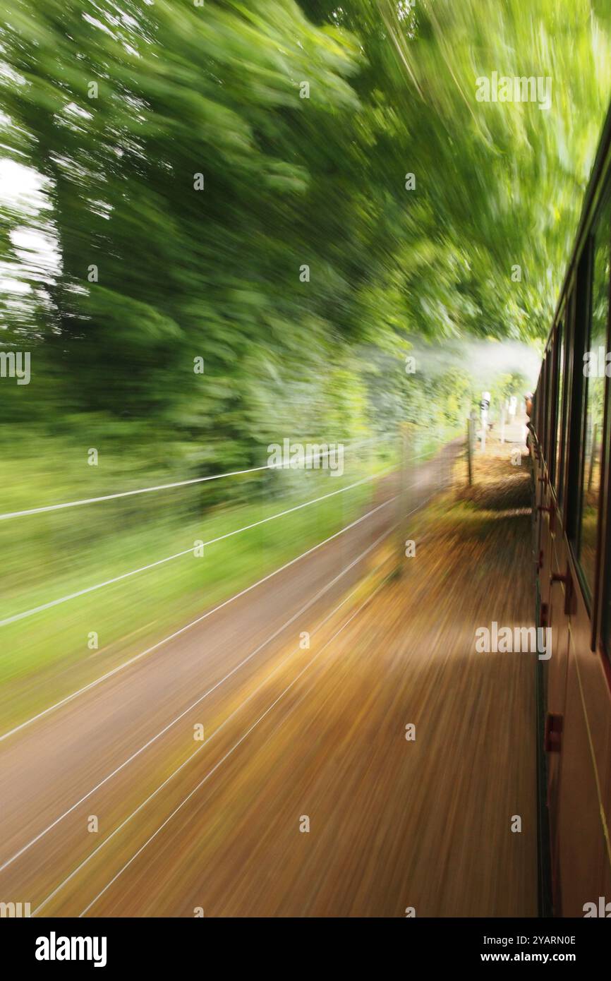 Ein Blick aus dem Fenster einer bewegten Schmalspurbahn auf der Bure Valley Railway, Norfolk, England, Großbritannien Stockfoto