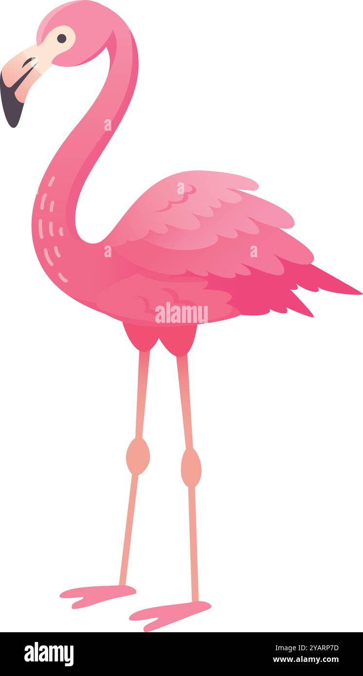 Rosafarbener Flamingo steht auf seinen langen Beinen, seine rosafarbenen Federn sind ordentlich angeordnet und sein langer Hals ist zu einer eleganten Form geformt Stock Vektor