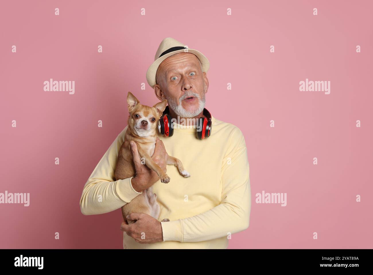 Porträt eines überraschten älteren Mannes mit Chihuahua-Hund auf rosa Hintergrund Stockfoto