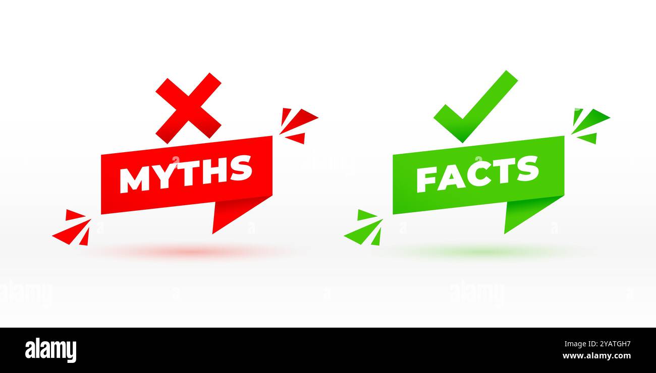 Mythen vs. Fakten Identitätsprüfung im Origami-Stil Stock Vektor