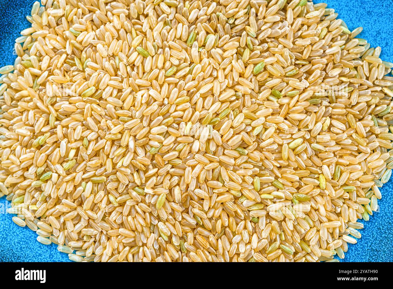 Nahaufnahme von rohem braunem Reis. Stockfoto