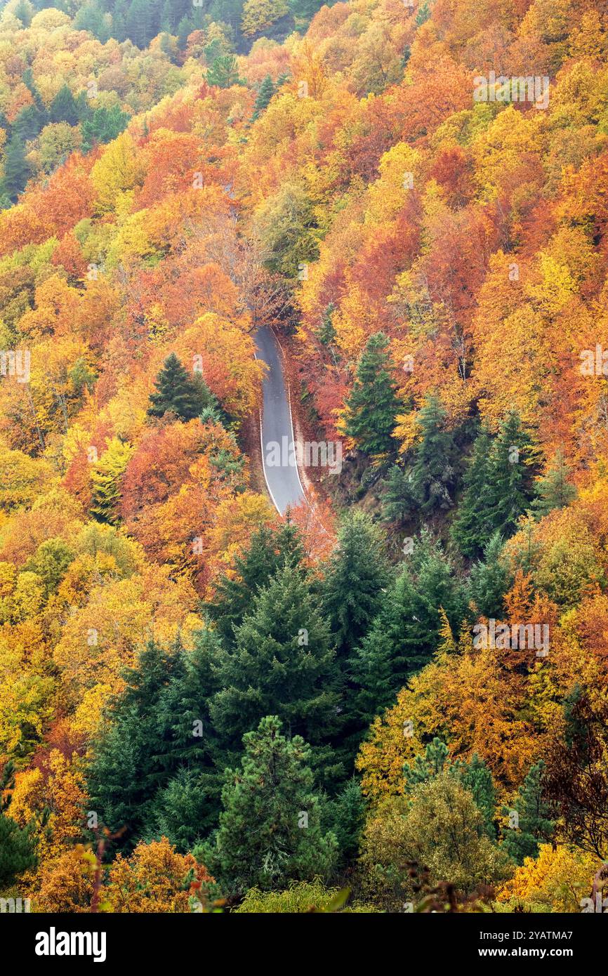 Aus der Vogelperspektive der Straße, umgeben von Bäumen mit Blättern in verschiedenen Farben im Herbst in Serra da Estrela in Portugal. Stockfoto