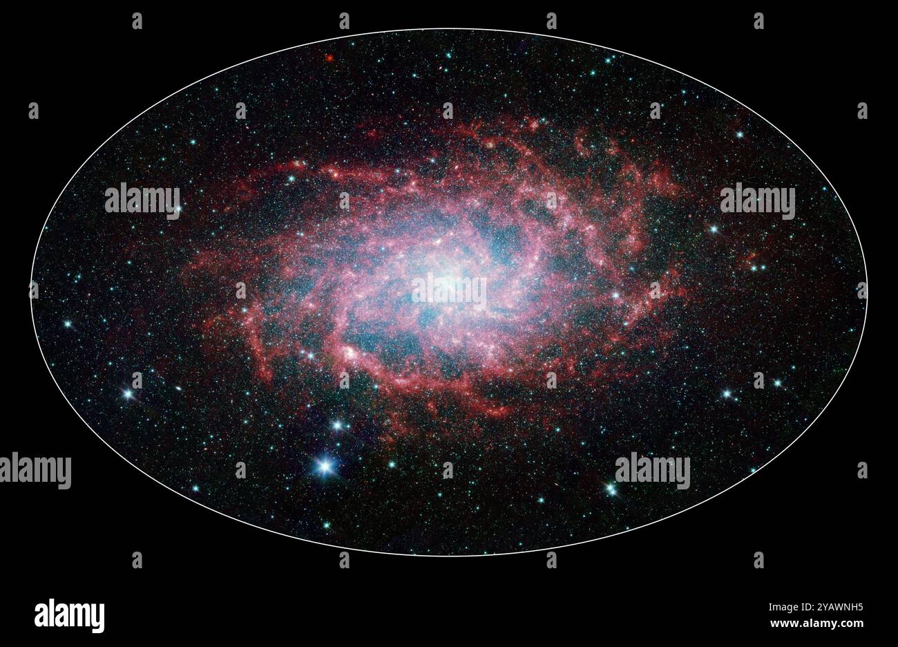 M33, auch bekannt als Triangulum-Galaxie, ist ein Mitglied der so genannten lokalen Gruppe von Galaxien. M33 ist eine der wenigen Galaxien, die sich in Richtung der Milchstraße bewegen, obwohl sich der Raum selbst ausdehnt, was dazu führt, dass die meisten Galaxien im Universum immer weiter auseinander wachsen. Mit Spitzers Infrarot-Augen funkelt diese elegante Spiralgalaxie vor Farben und Details. Sterne erscheinen als funkelnde blaue Edelsteine (viele davon sind tatsächlich Vordergrundsterne in unserer eigenen Galaxie), während Staub in der Spiralscheibe der Galaxie rosa und rot leuchtet. Stockfoto