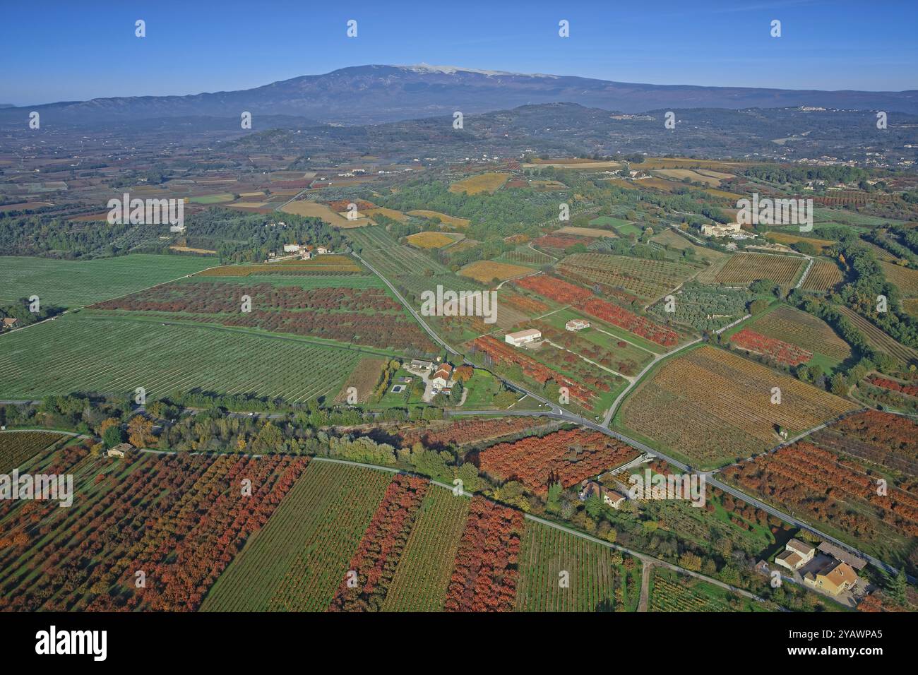 Frankreich, Departement Vaucluse, Landschaft im Herbst, Mont Ventoux, Weinberge und Obstbäume, Luftaufnahme, Stockfoto