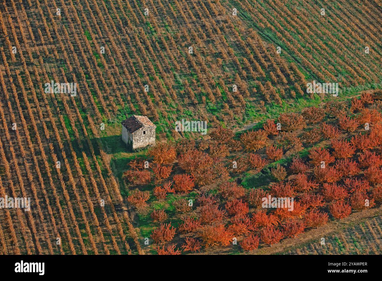 Frankreich, Département Drôme, Landschaft Obstbäume im Herbst und Weinberge, mit kleinem Schuppen, aus der Vogelperspektive Stockfoto
