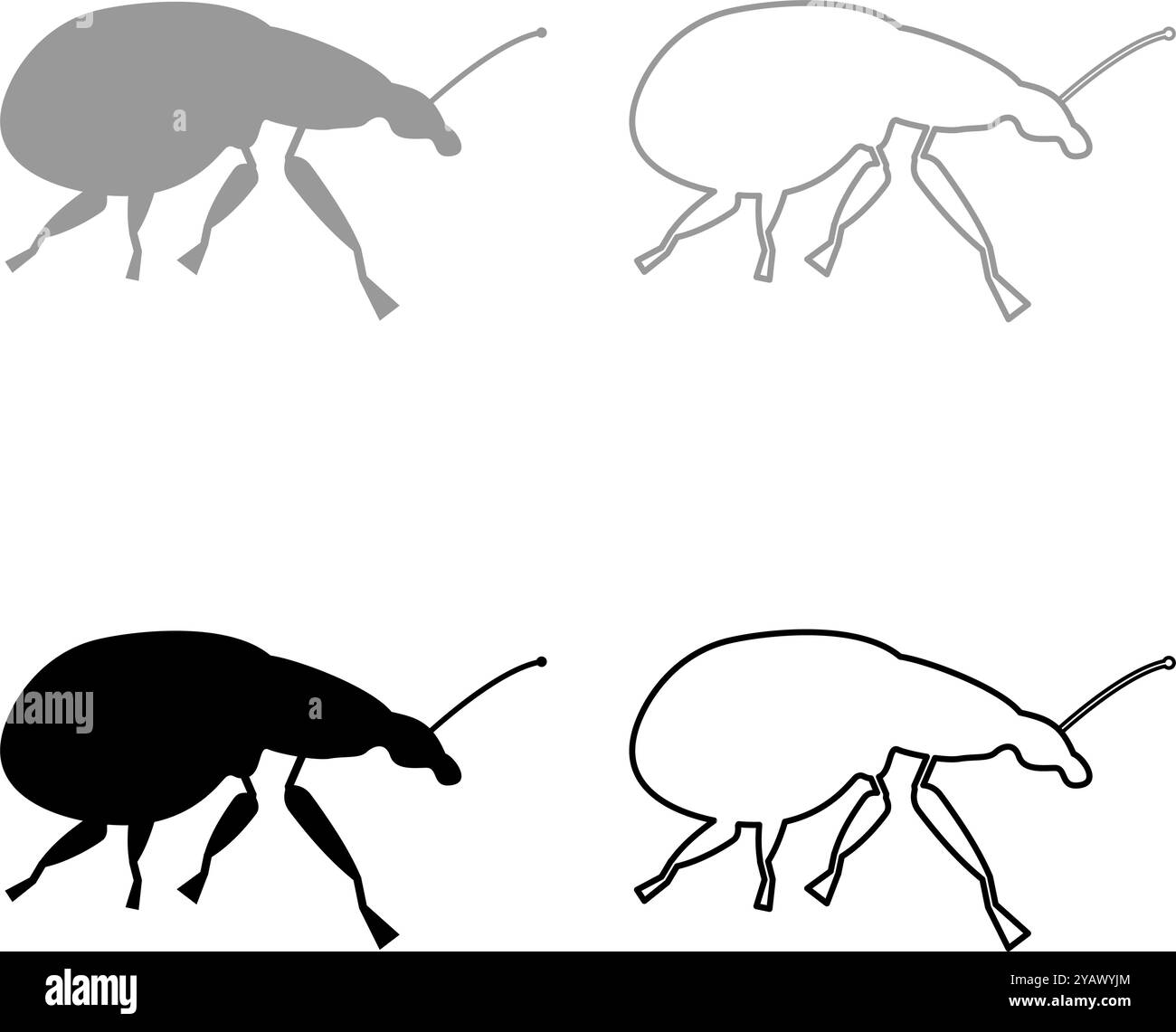 Weevil Insektenschädling Set Symbol grau schwarz Farbe Vektor Illustration Bild einfache Vollfüllung Umrisslinie dünne flache Art Stock Vektor