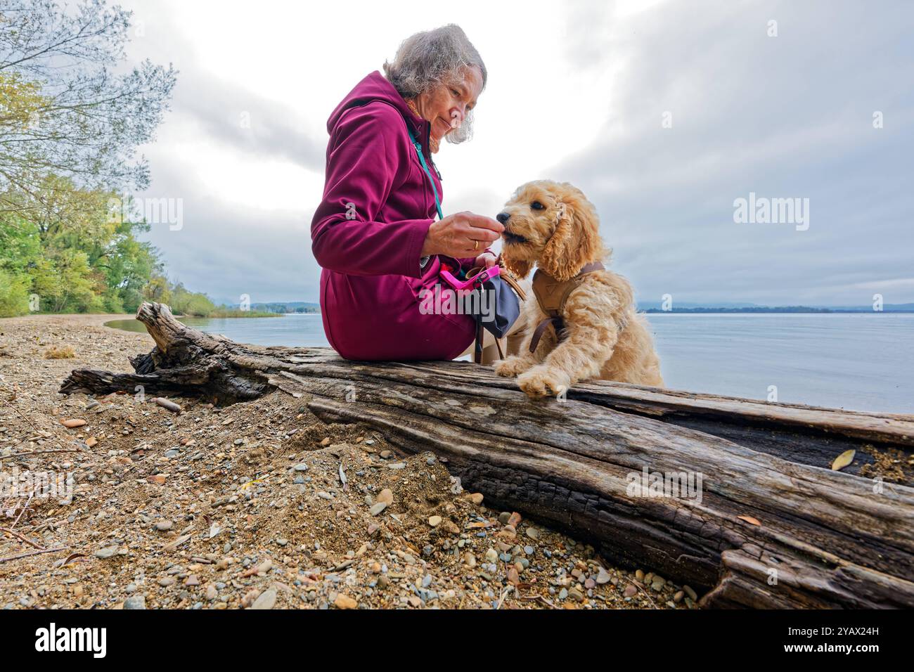 Der treue Begleiter. Die Frau mit ihrem Hund am Seeufer. Feldwies Bayern Deutschland *** die treue Begleiterin der Frau mit ihrem Hund am Seeufer Feldwies Bayern Deutschland Copyright: XRolfxPossx Stockfoto