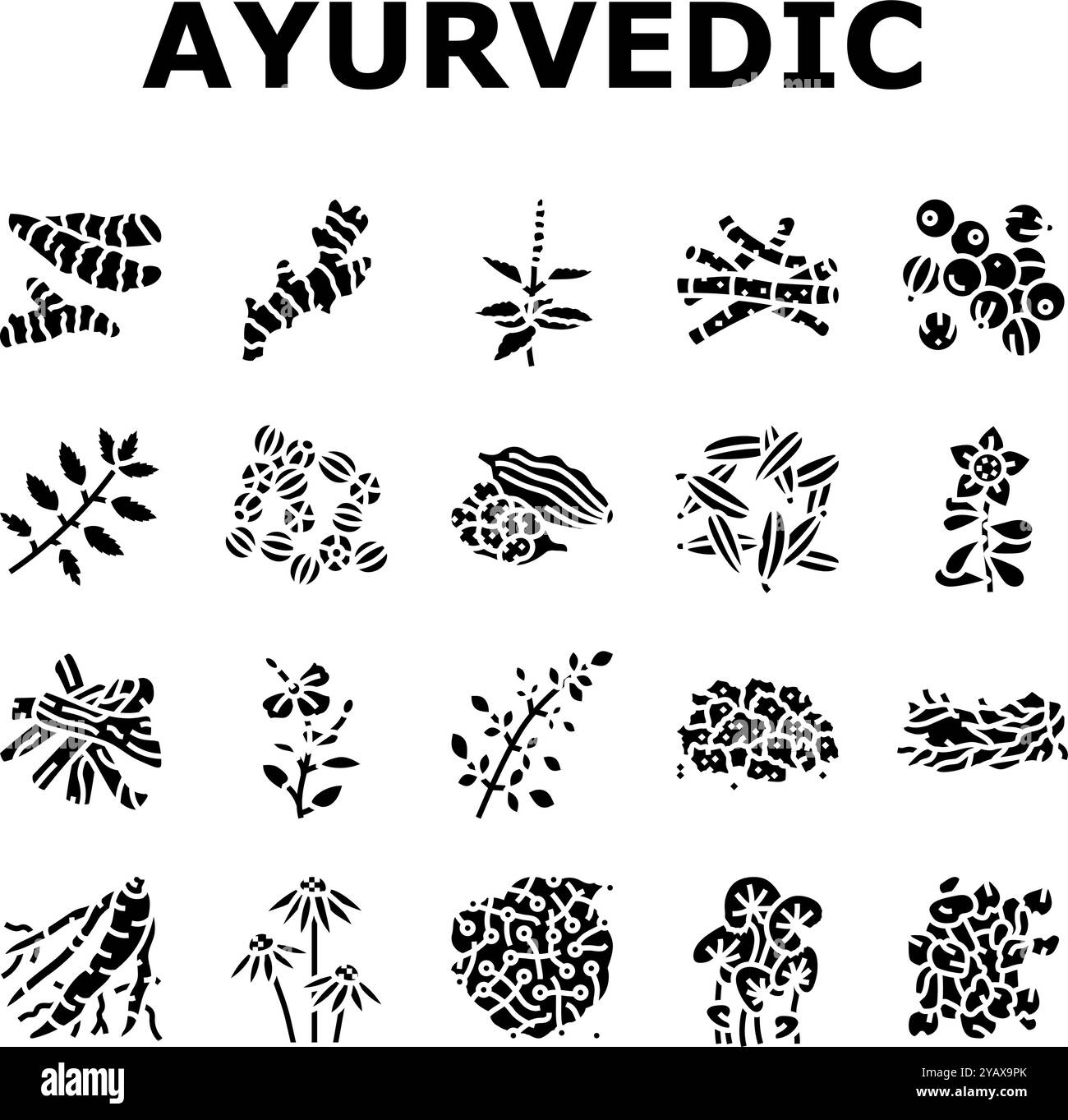 ayurvedische Kräuter Medizin Gesundheit Symbole setzen Vektor Stock Vektor