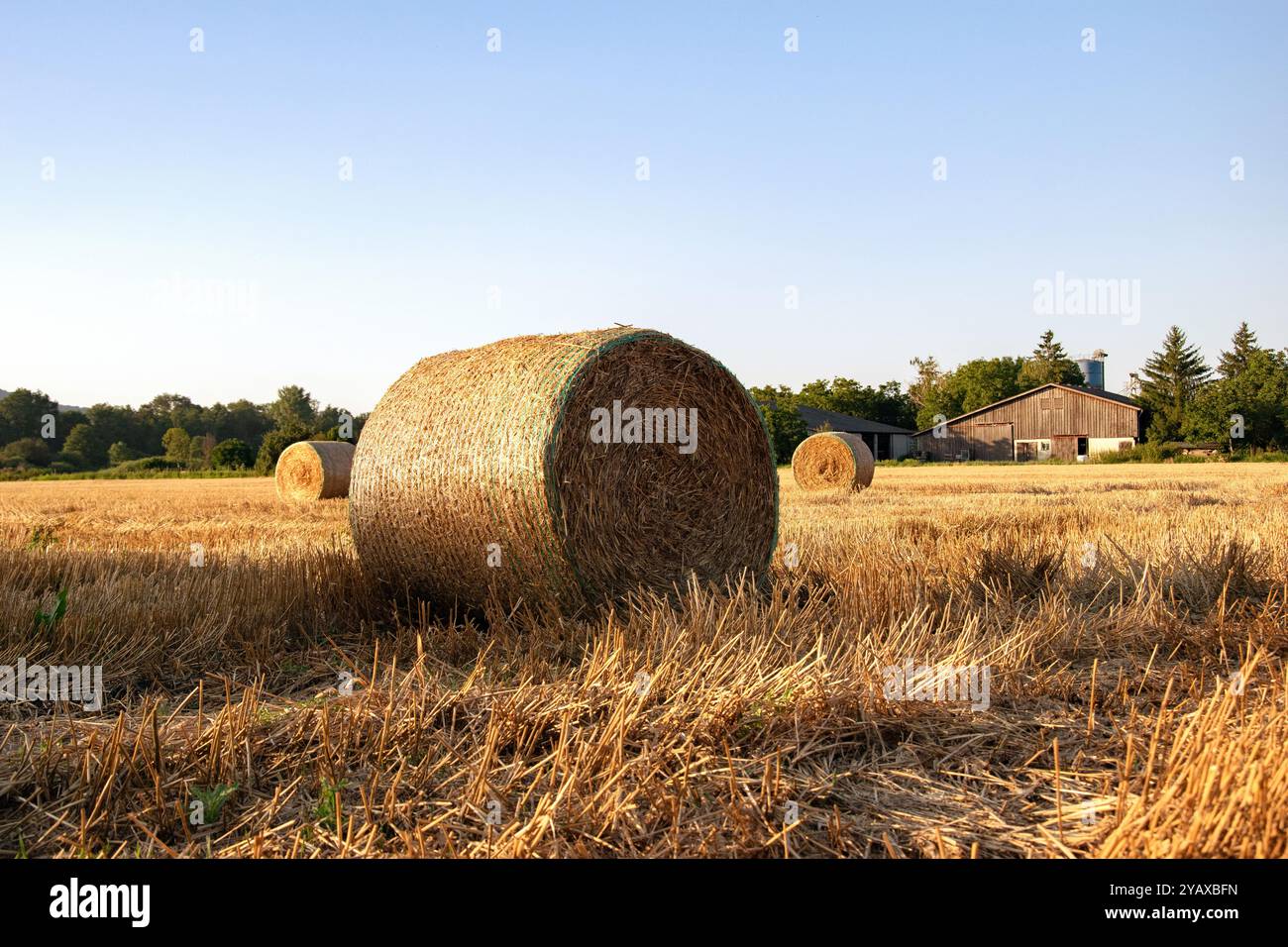 Strohballen auf einem gemähten Feld mit Bauernhaus im Hintergrund bei Sonnenuntergang. Stockfoto