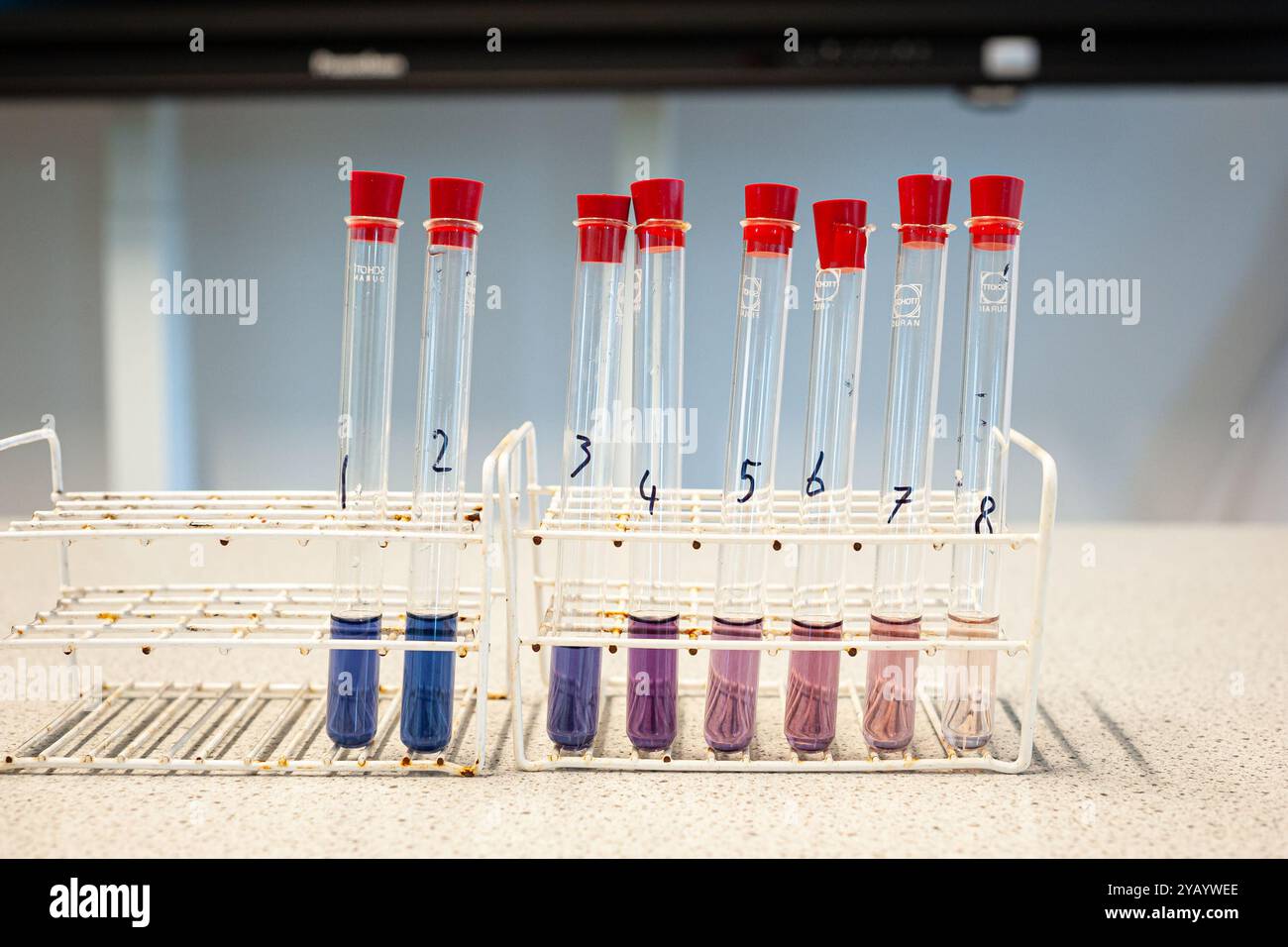Reagenzgläser in einem Rack mit Farbfolge. Wird im Grundunterricht während des Wissenschaftsunterrichts verwendet. Stockfoto