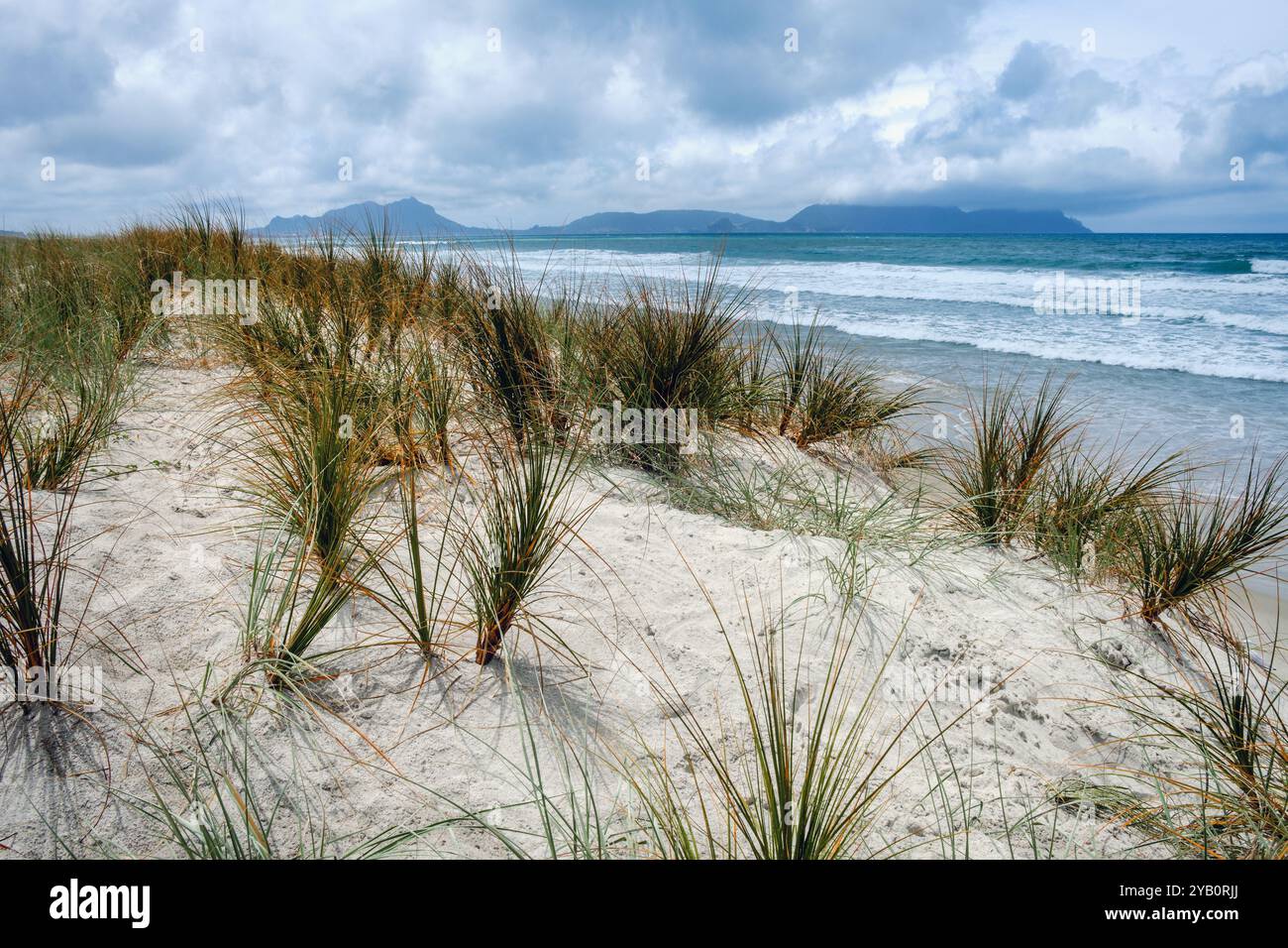 Sanddünen am Ruakaka Beach und Blick in Richtung Whangarei Heads, Northland, Neuseeland Stockfoto
