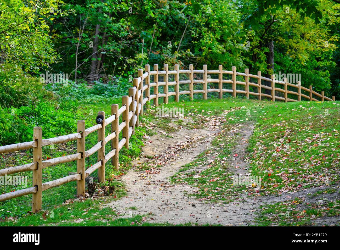 Ein Holzzaun im High Park. Stockfoto