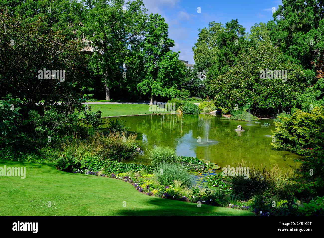 Frankreich, Maine-et-Loire, Angers, der Pflanzengarten Stockfoto