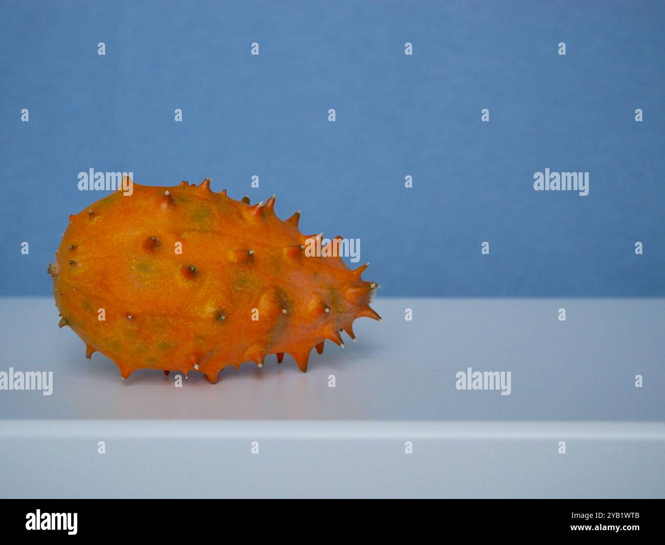 Kiwano Cucumis Metulifer tropische Früchte aus nächster Nähe auf blauem Hintergrund. Stockfoto