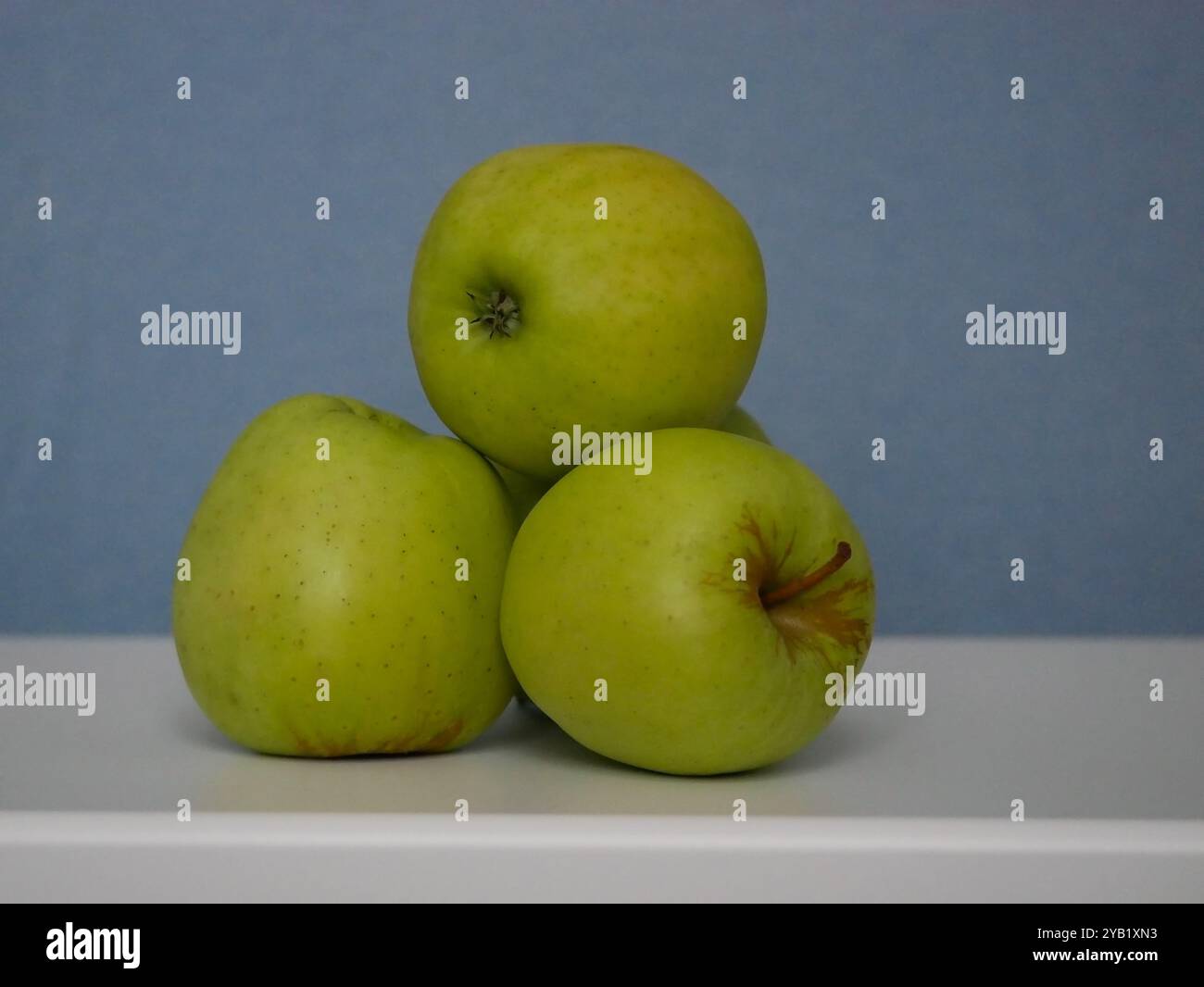 Goldene köstliche Äpfel auf blauem Hintergrund. Stockfoto