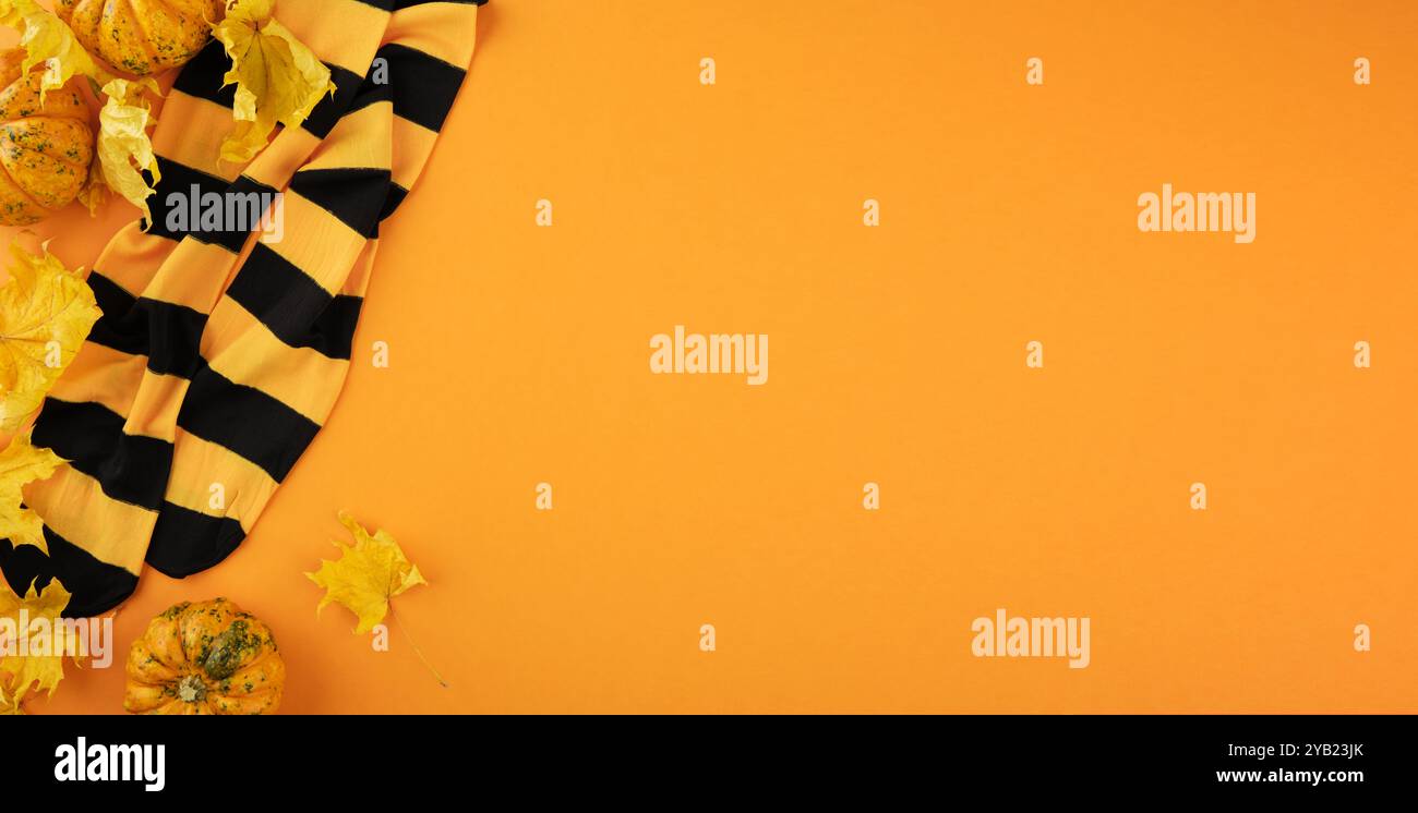 Halloween-Hintergrund. Kleiner Kürbis mit trockenen Ahornblättern und schwarz-orange gestreiften Socken für Party auf orangem Hintergrund. Draufsicht. Banner. Stockfoto