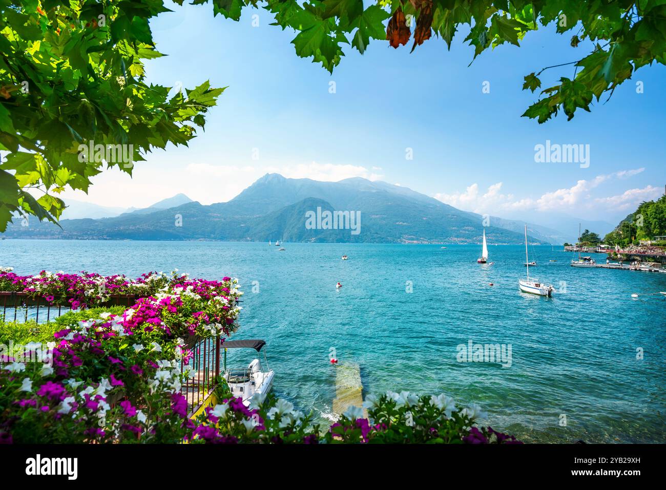 Blick auf den Comer See von Varenna im Sommer. Yachten, Blumen und Blätter als Rahmen. Provinz Lecco, Region Lombardei, Italien Stockfoto