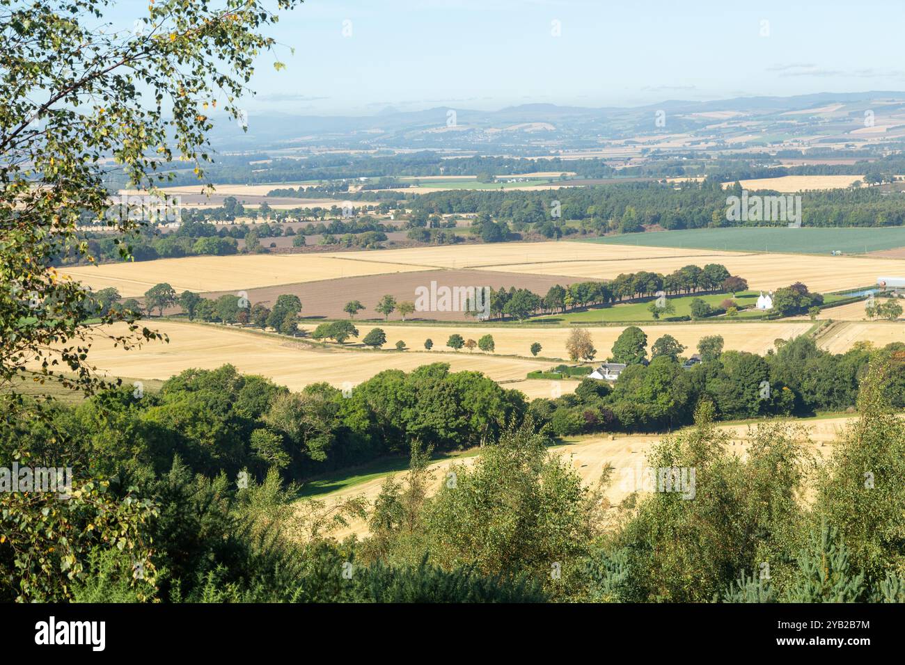 Angus ländliche Landschaft von Kinpurney Hill, Angus, Schottland Stockfoto